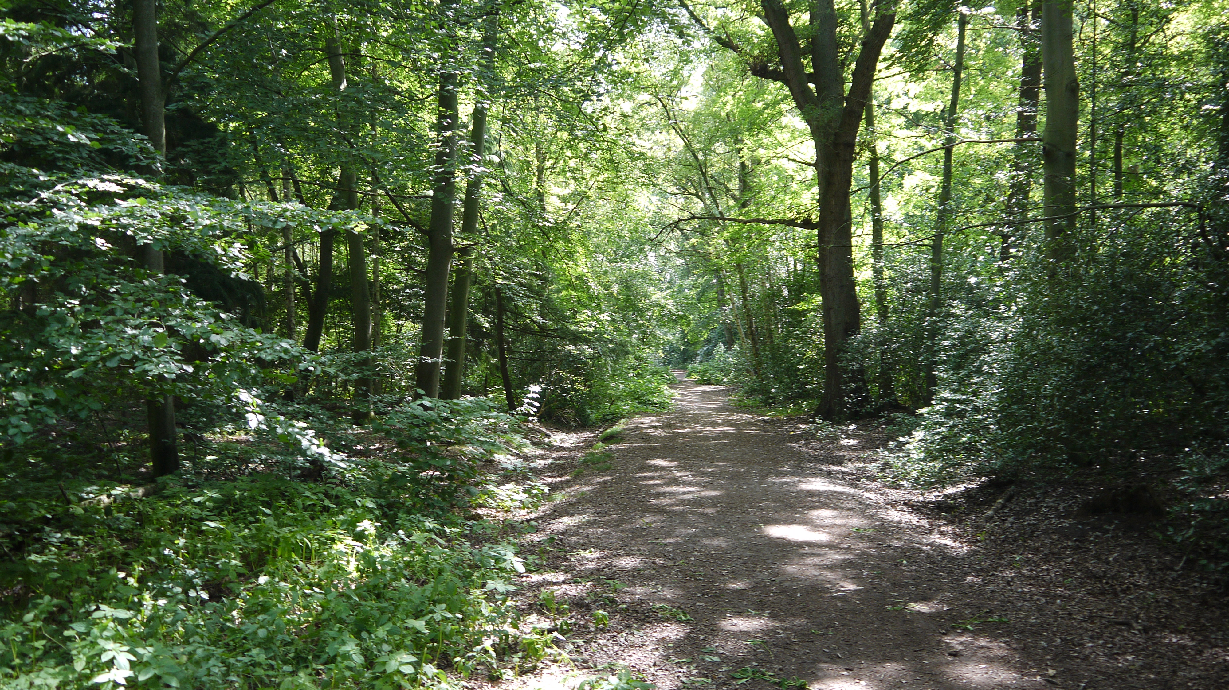Herrenholz Dreibergen