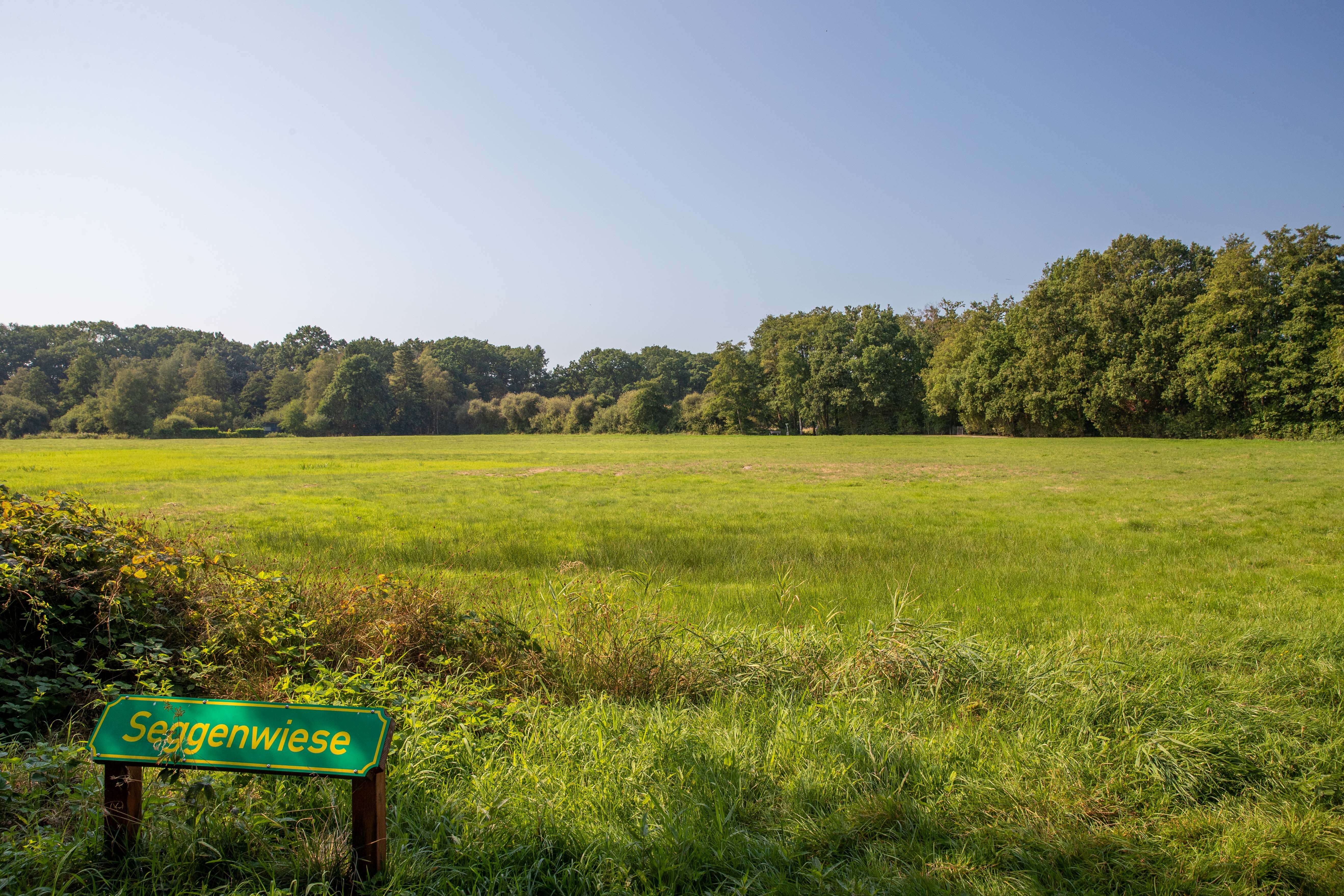 Landschaftspark Seggenwiese