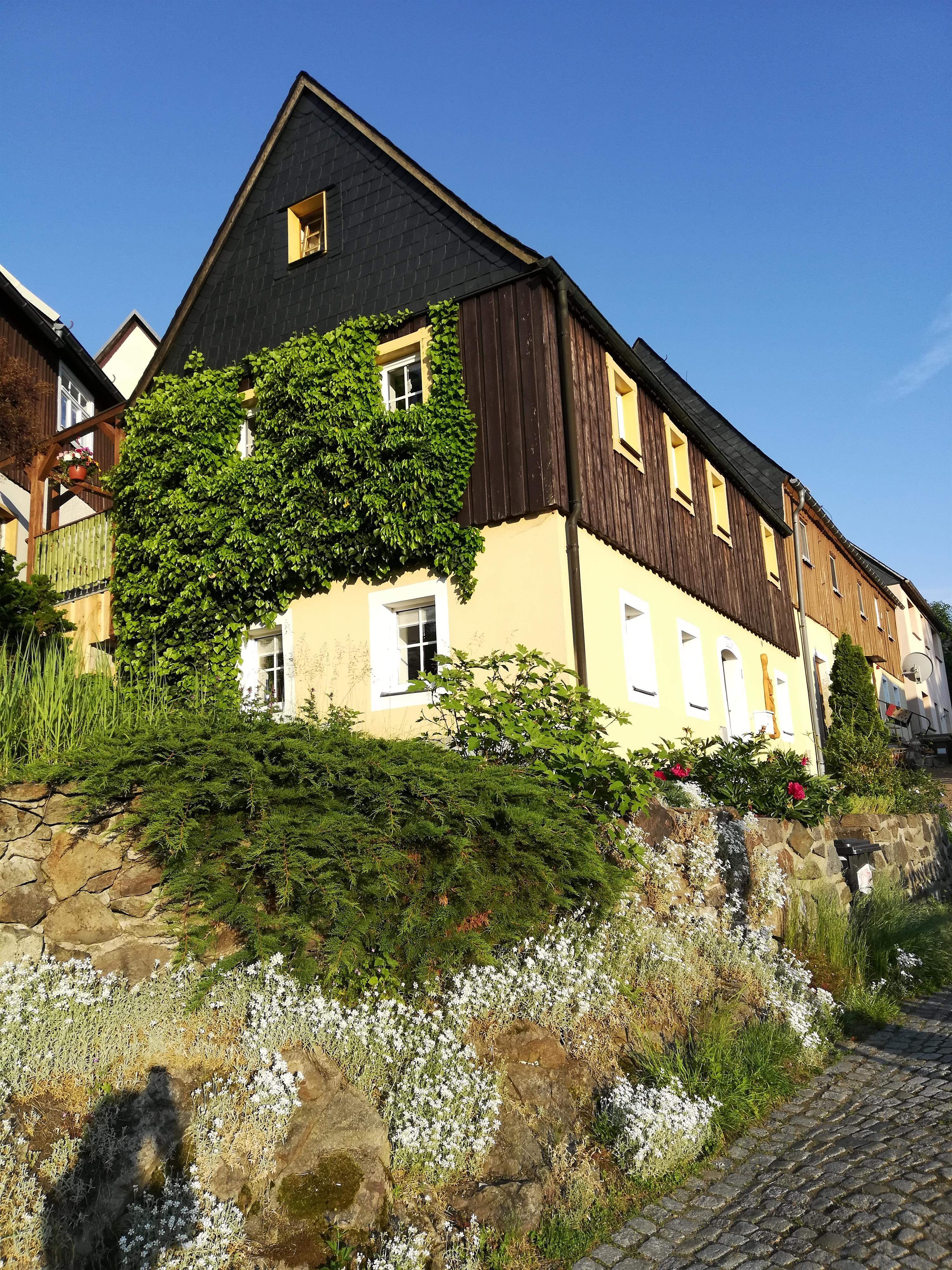 Ferienhaus 3 Eulen – Motiv