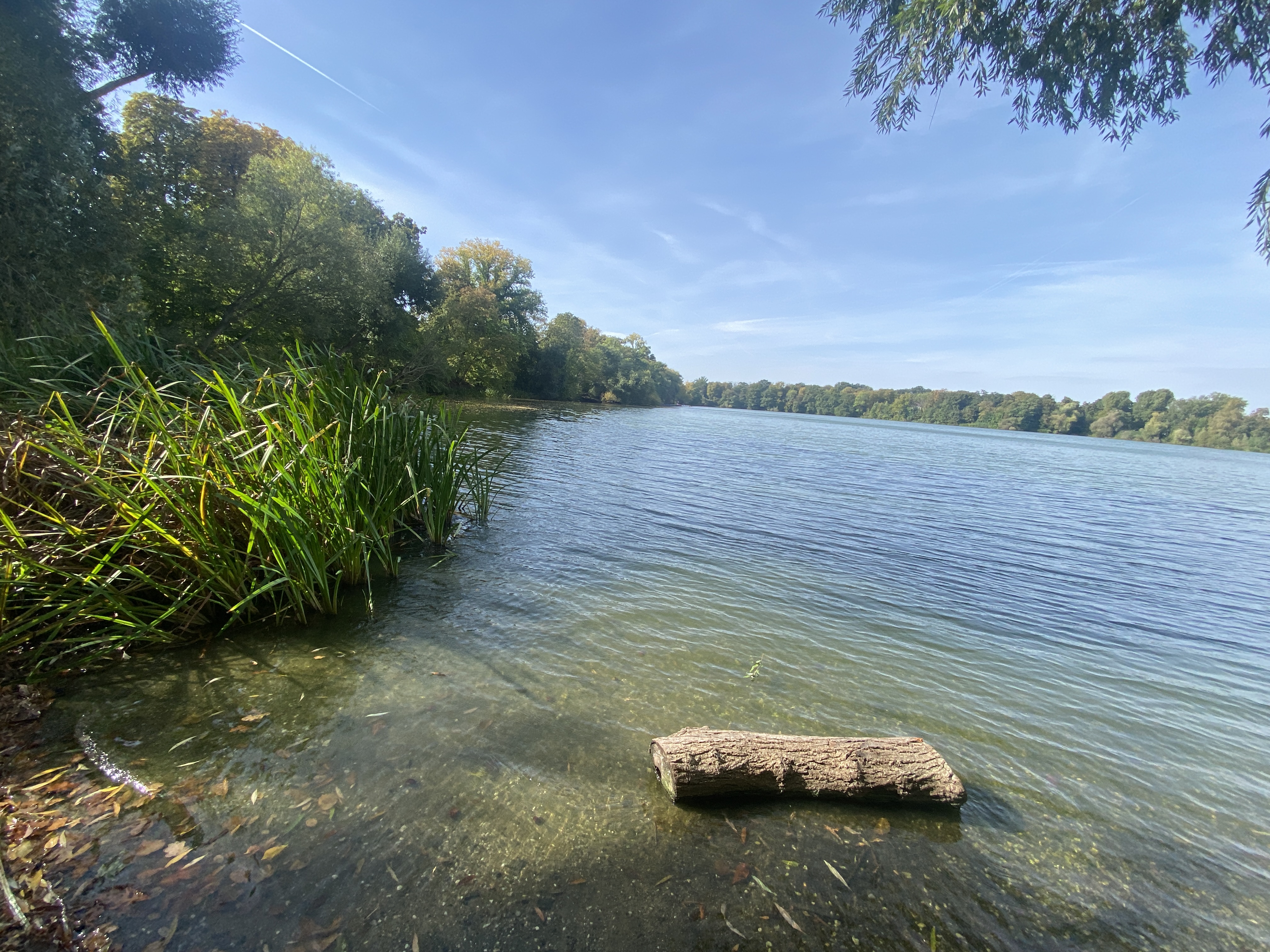 Auensee  Leipzig Region
