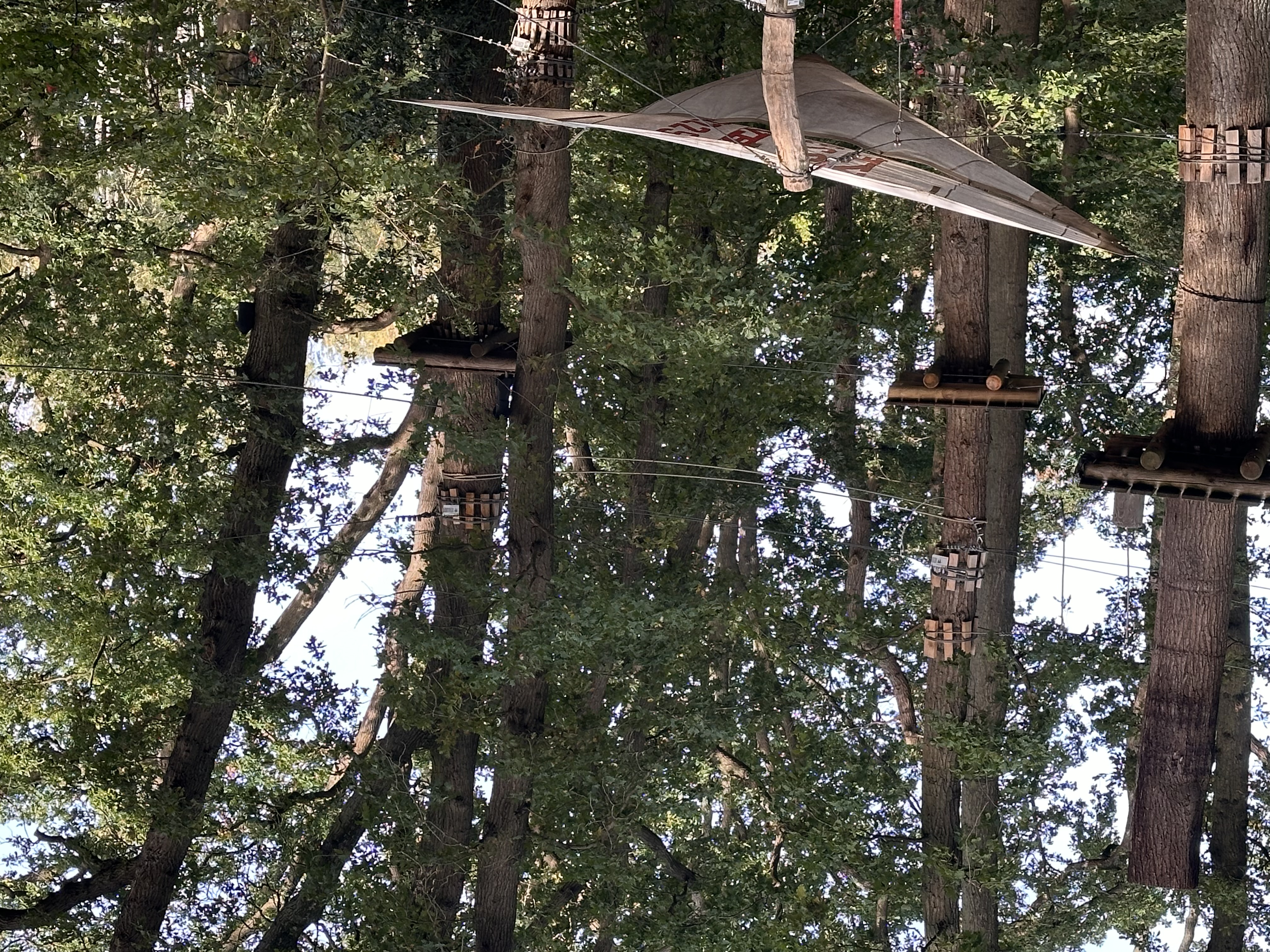 SeaTree Seilkonstruktion im Kletterpark