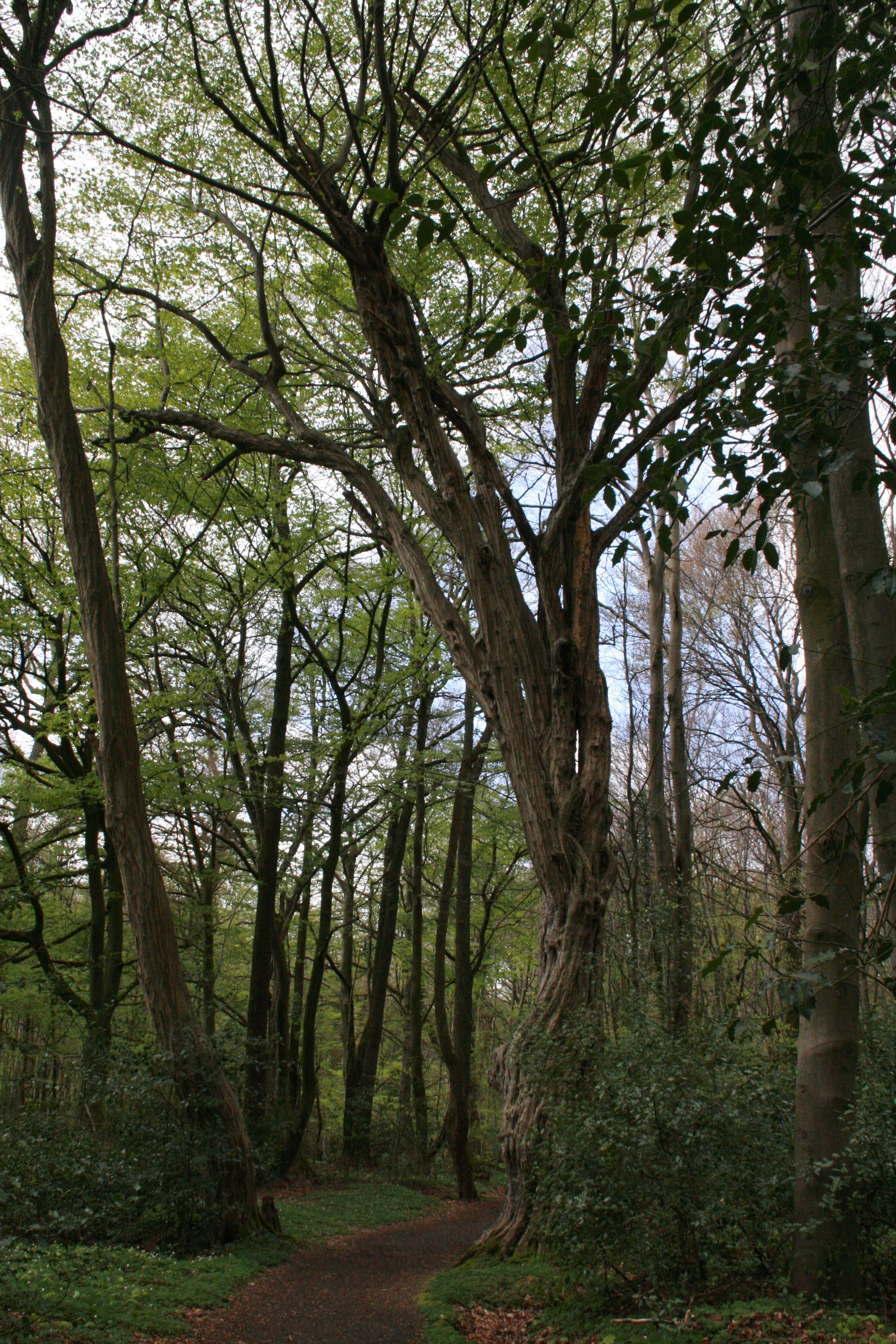 WildeWälder-Tour