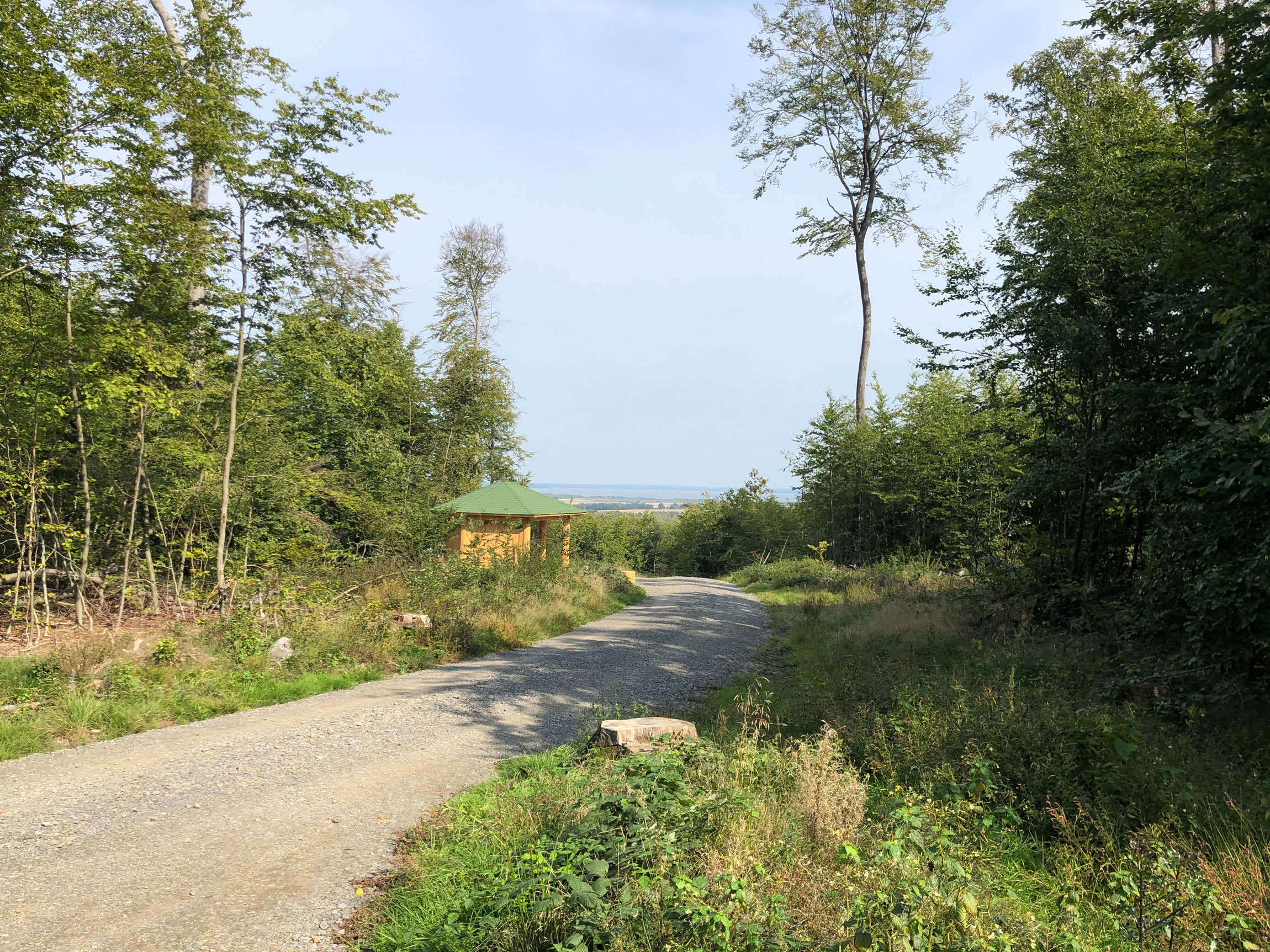 Promenadenspaziergänge