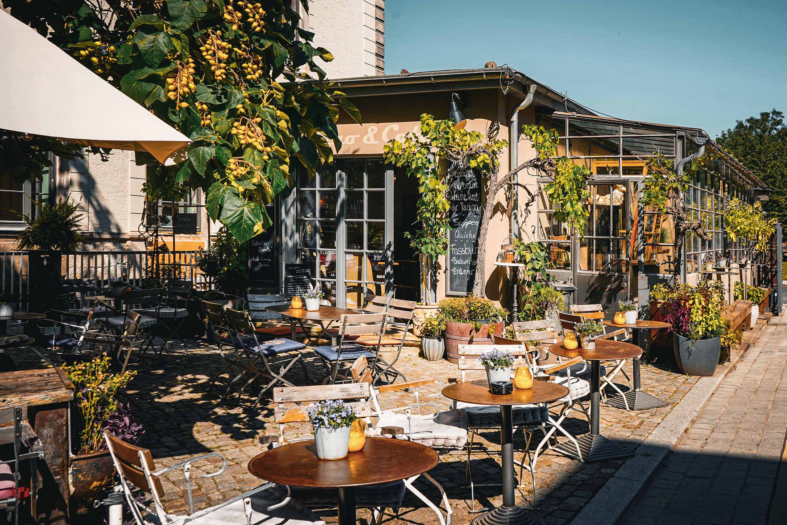 T1 Bistro & Café – Motiv