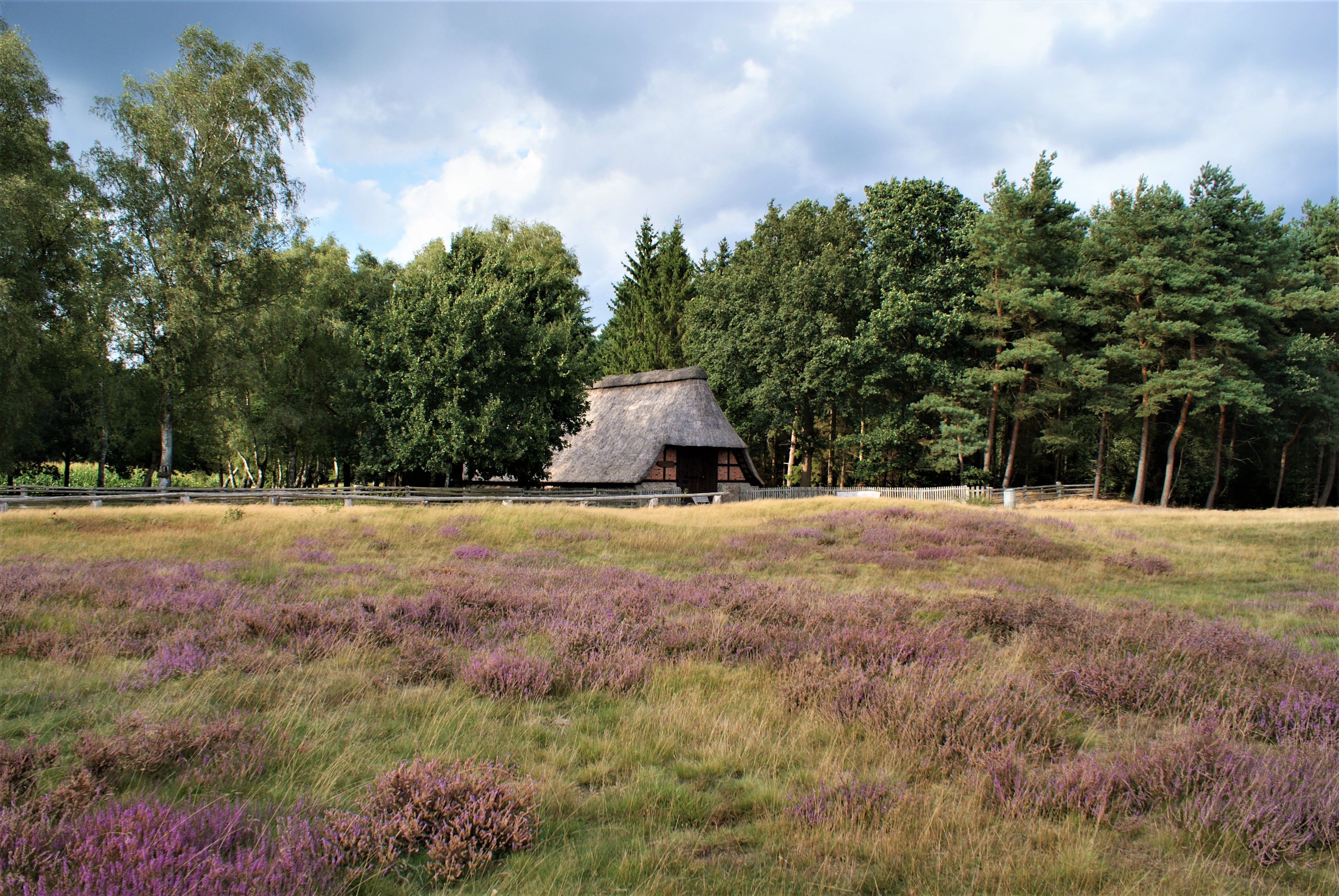Naturpark Wildeshauser Geest