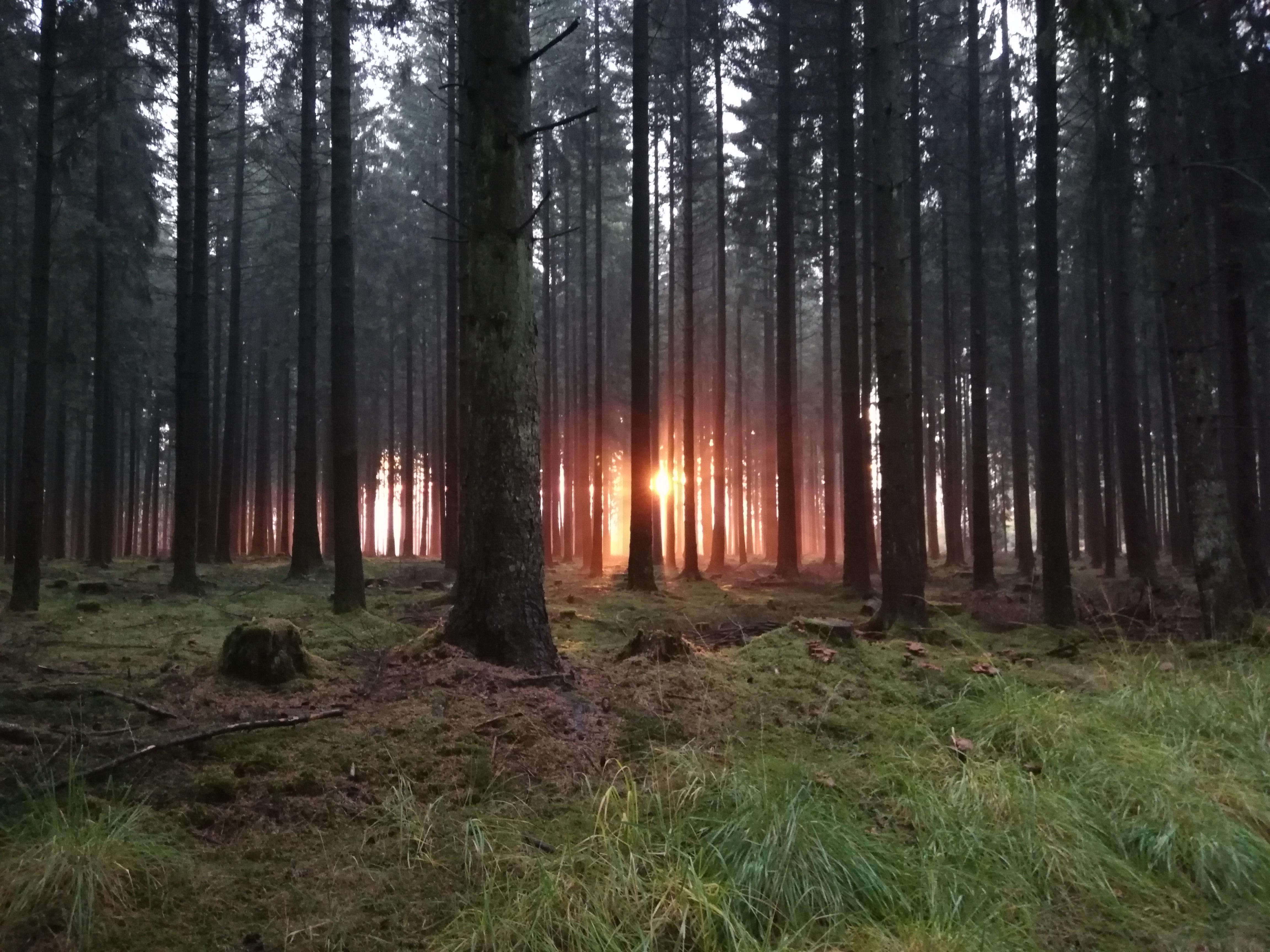 Früh am Morgen