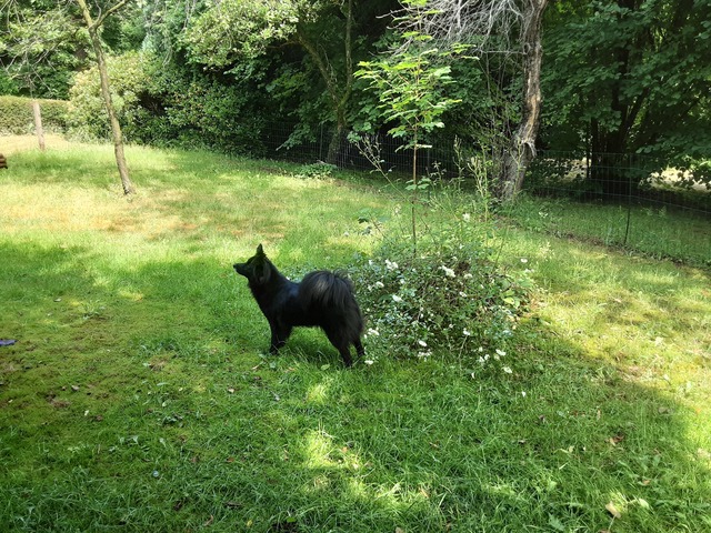 Garten1.jpg