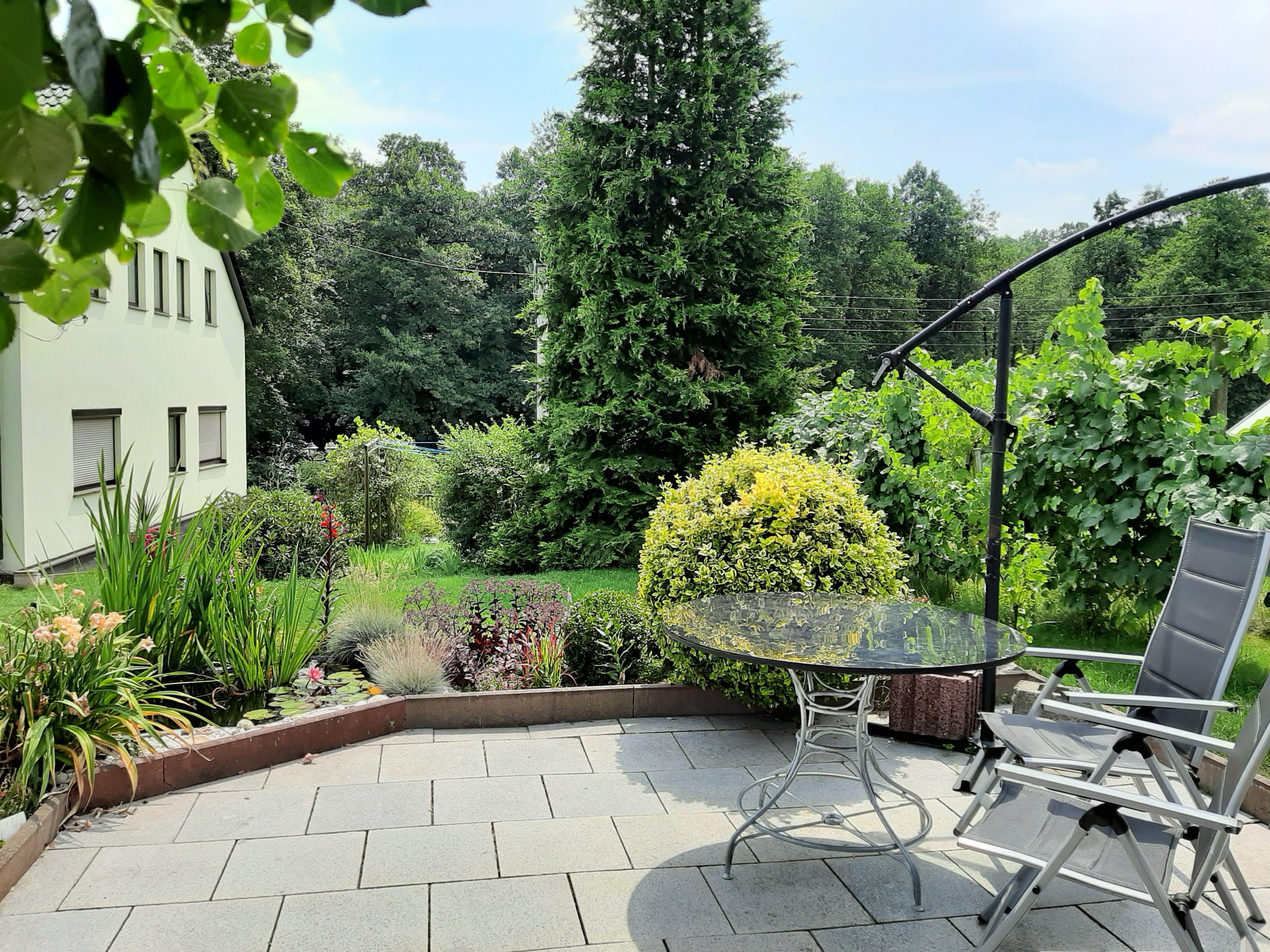 Ferienwohnung im grünen Muldental – Motiv