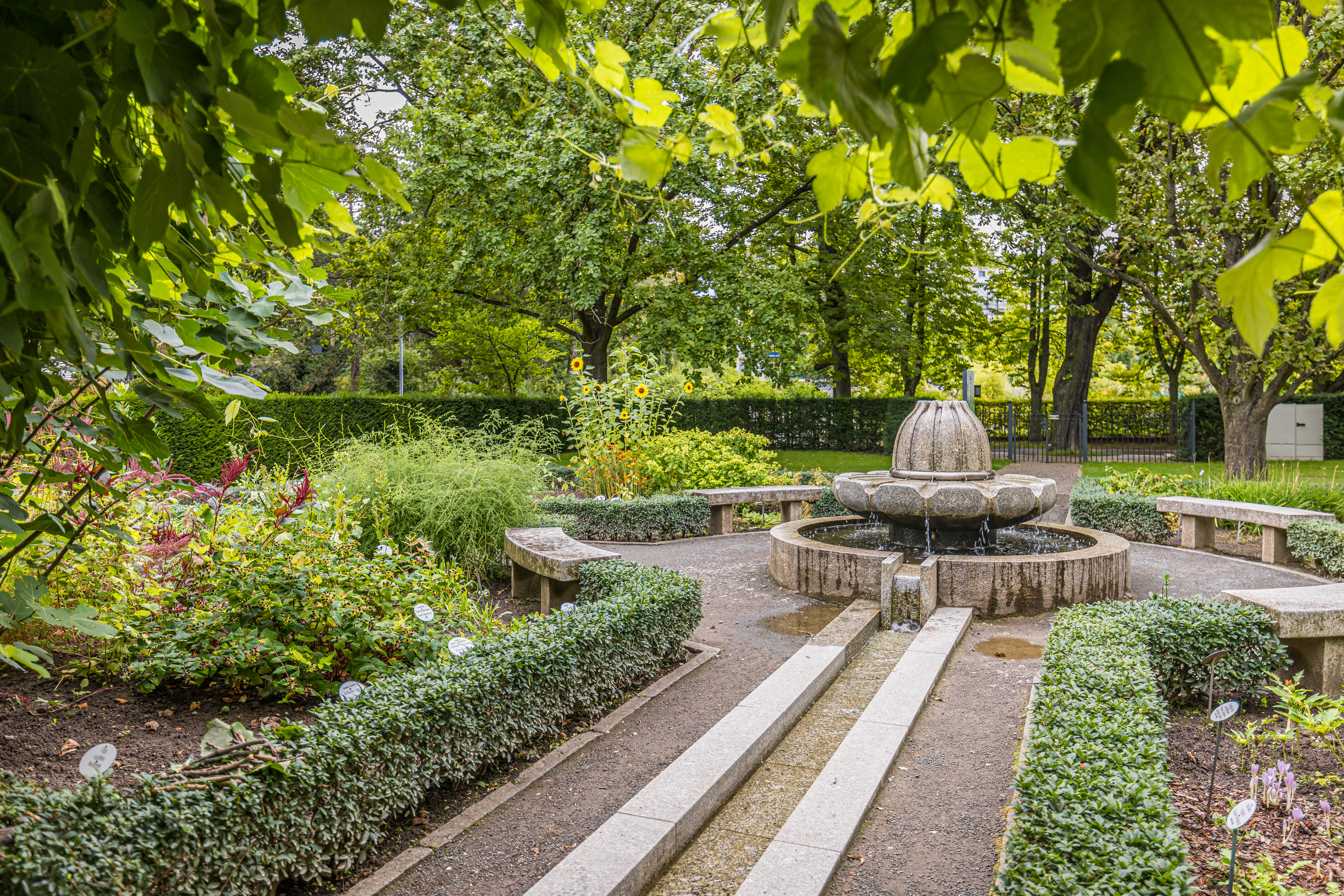 Friedenspark (Apothekergarten und Duft- und Tastgarten) – Motiv