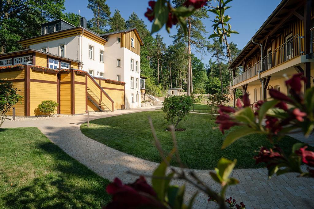 Waldidylle Gohrisch – Motiv