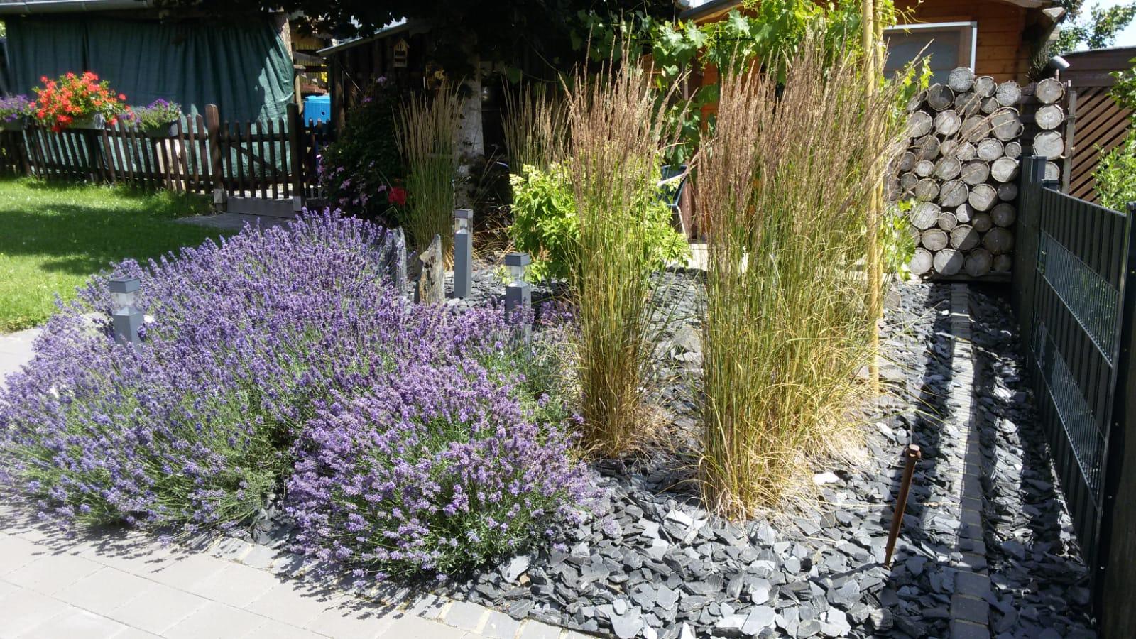 Sommer im Garten - blühender Vorgarten