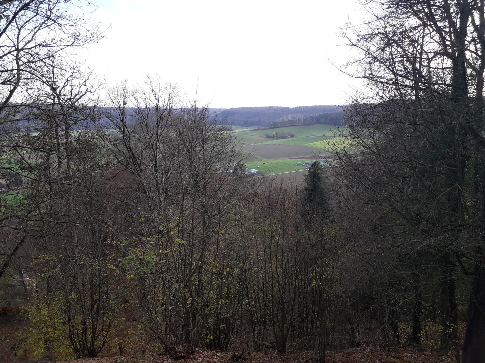 Rauschenberg_Panoramaweg1.jpeg