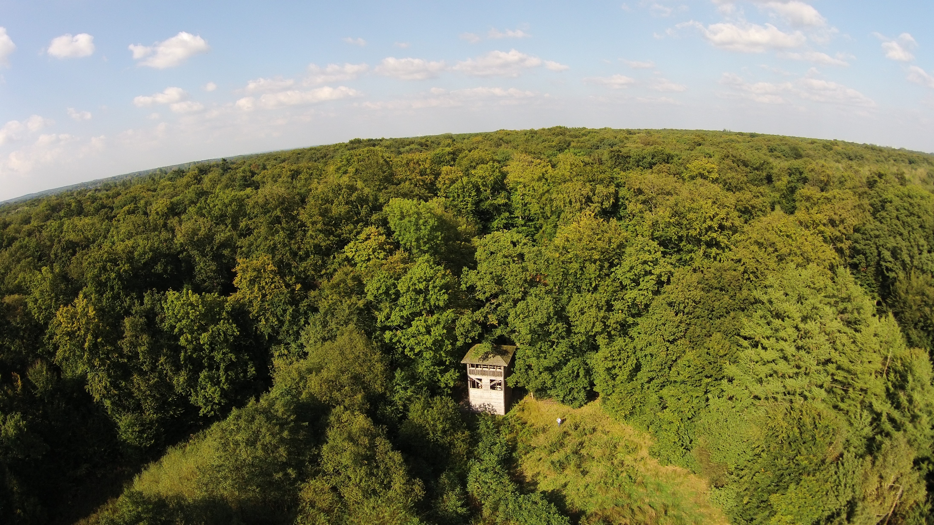 Hasbruch