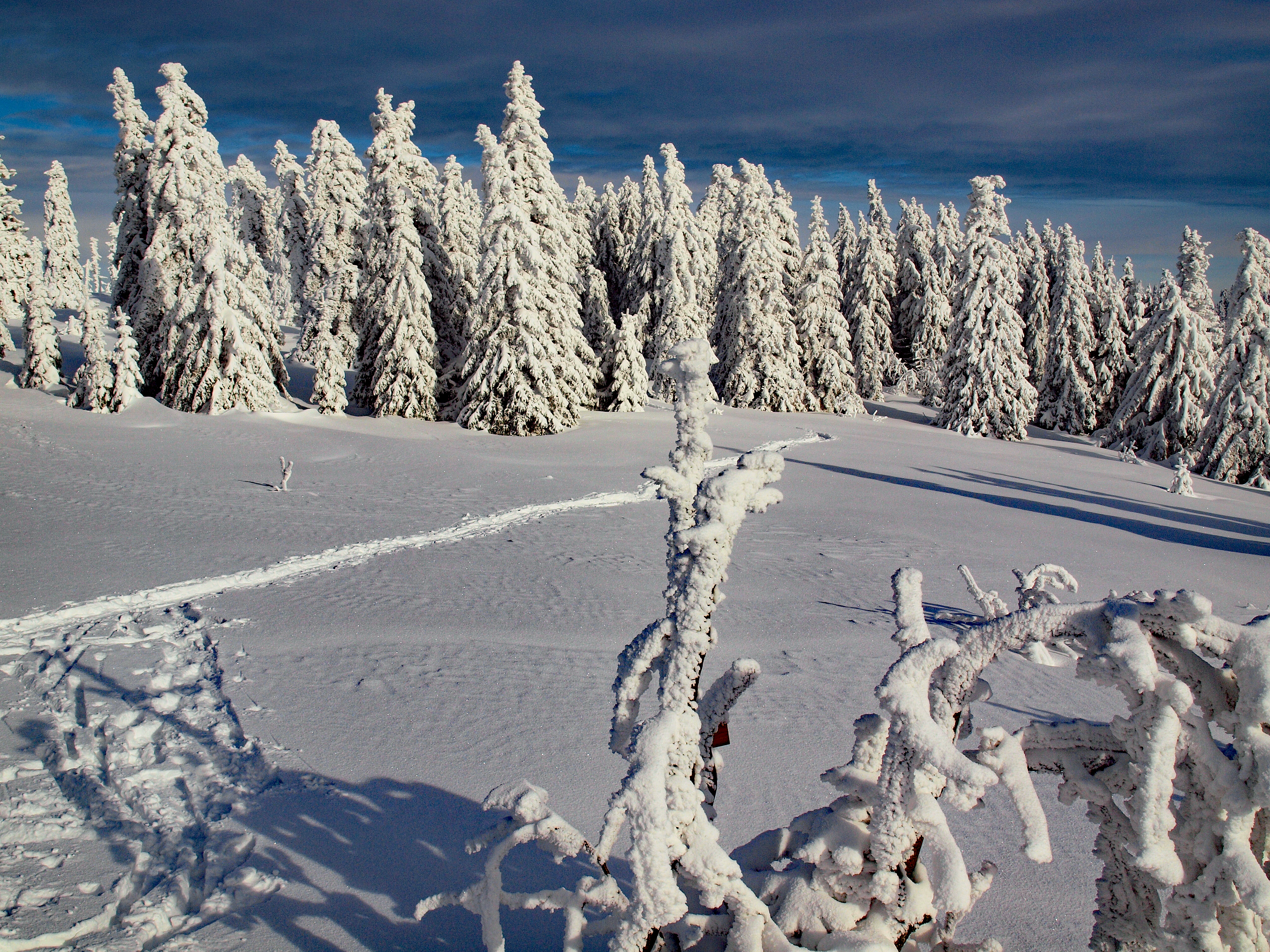 Auf Schmugglerpfaden zum Osser
