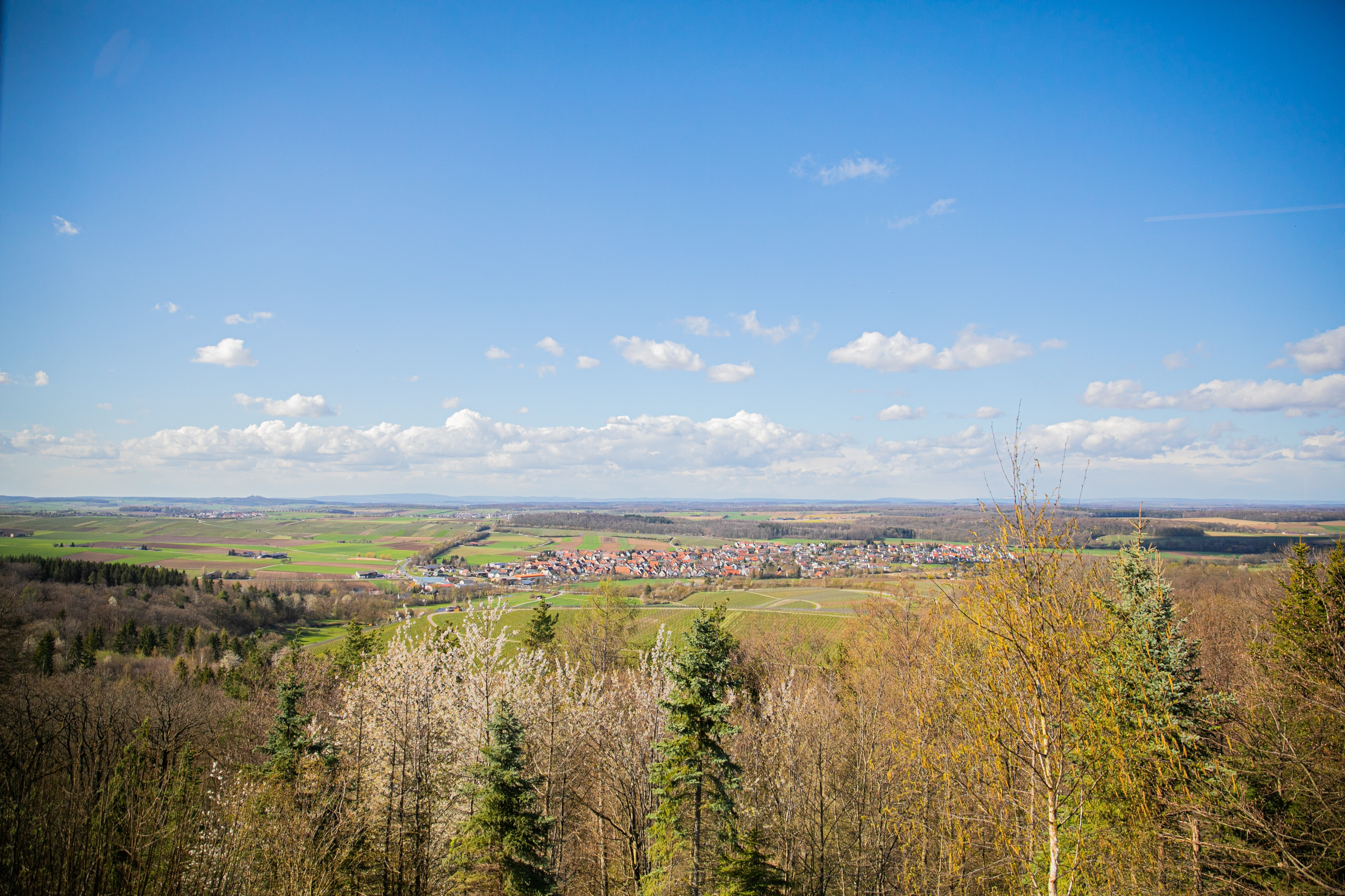 Aussicht | Neuer Berg | Stetten
