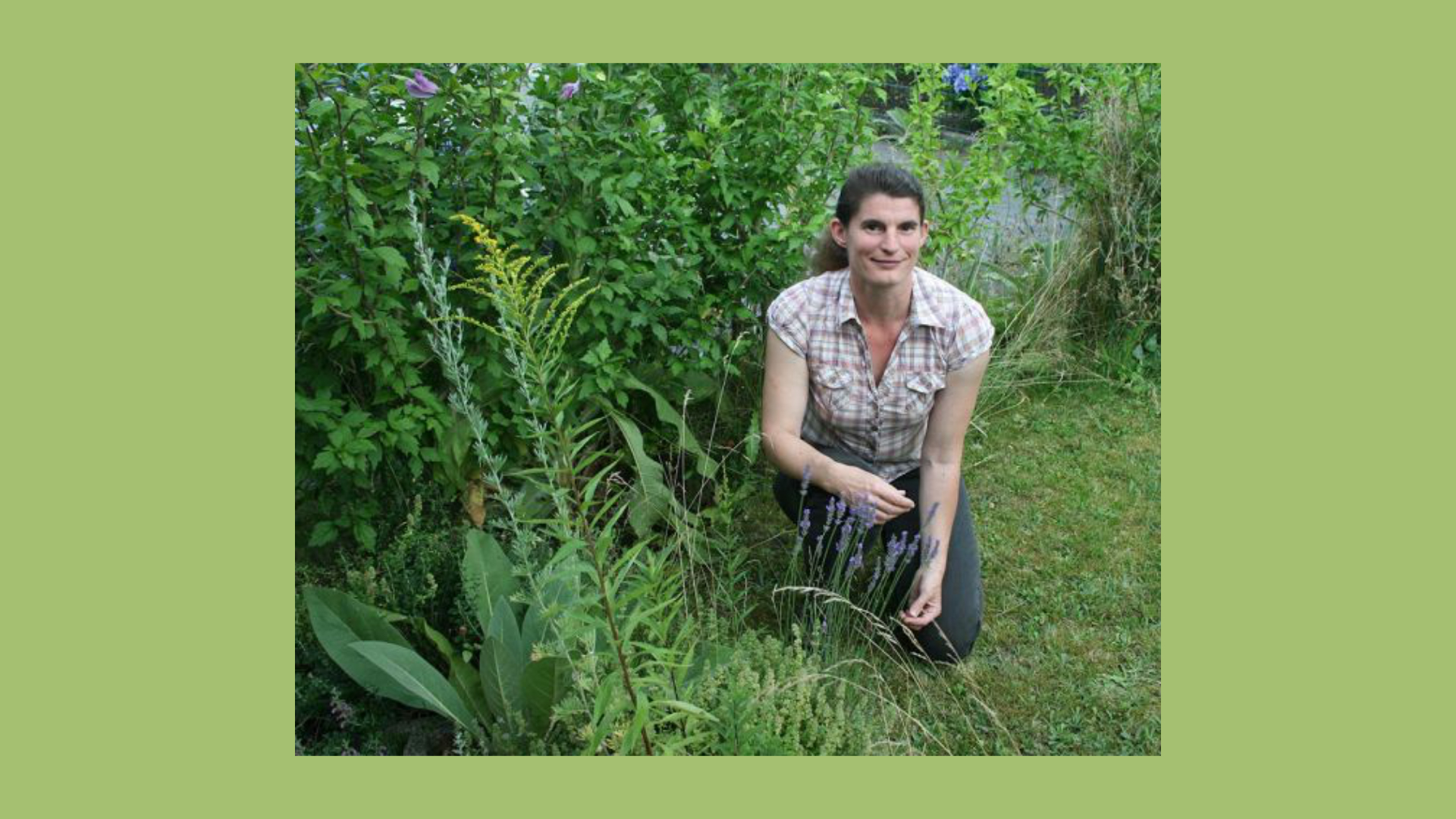 Wildkräuterwanderungen mit der Heilpraktikerin Iris Schneider