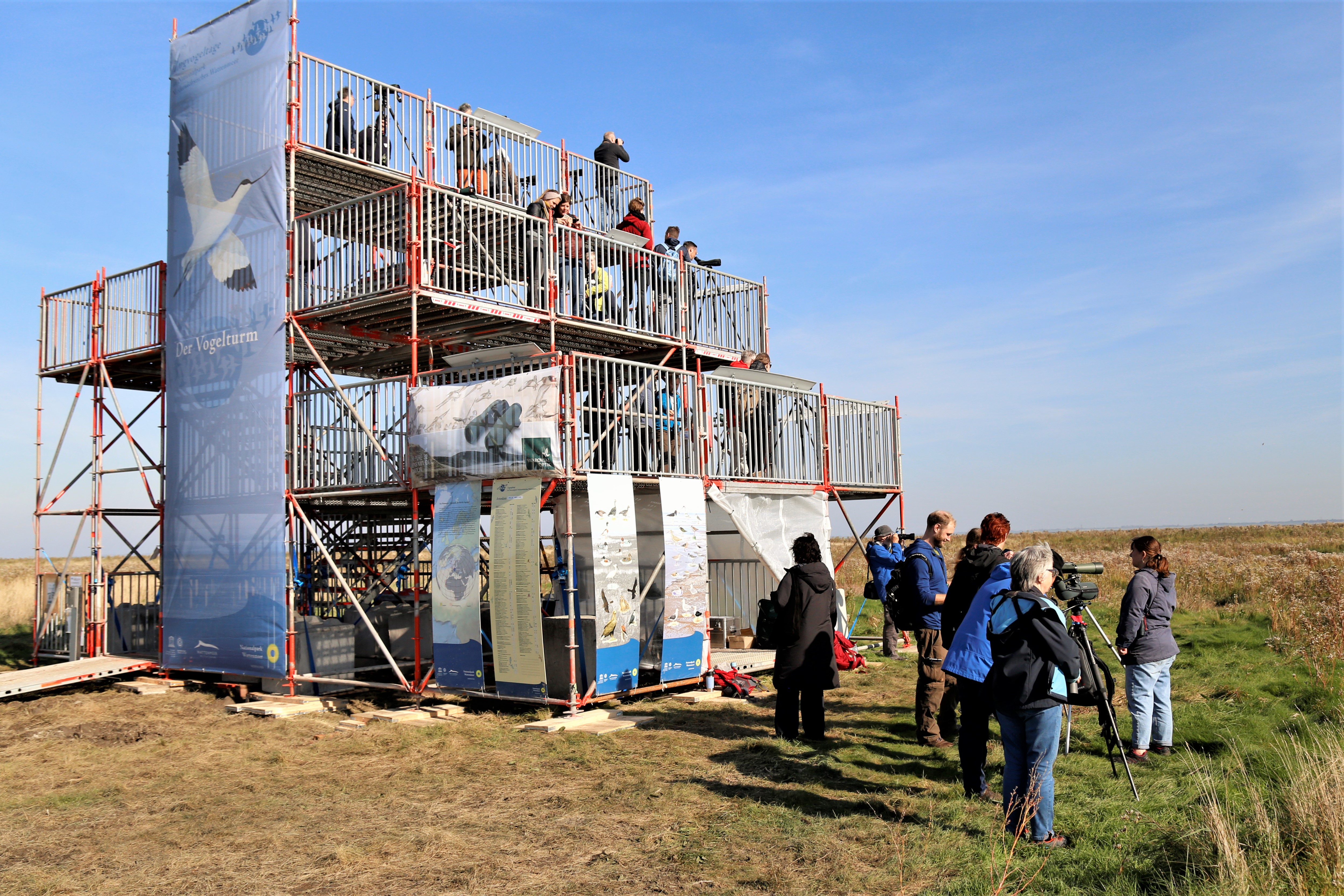 Der Vogelturm am Vareler Außentief ist nur während der <a data-cke-saved-href="http://www.zugvogeltage.de" href="http://www.zugvogeltage.de">Zugvogeltage im Nationalpark Niedersächsisches Wattenmeer</a> aufgebaut. 