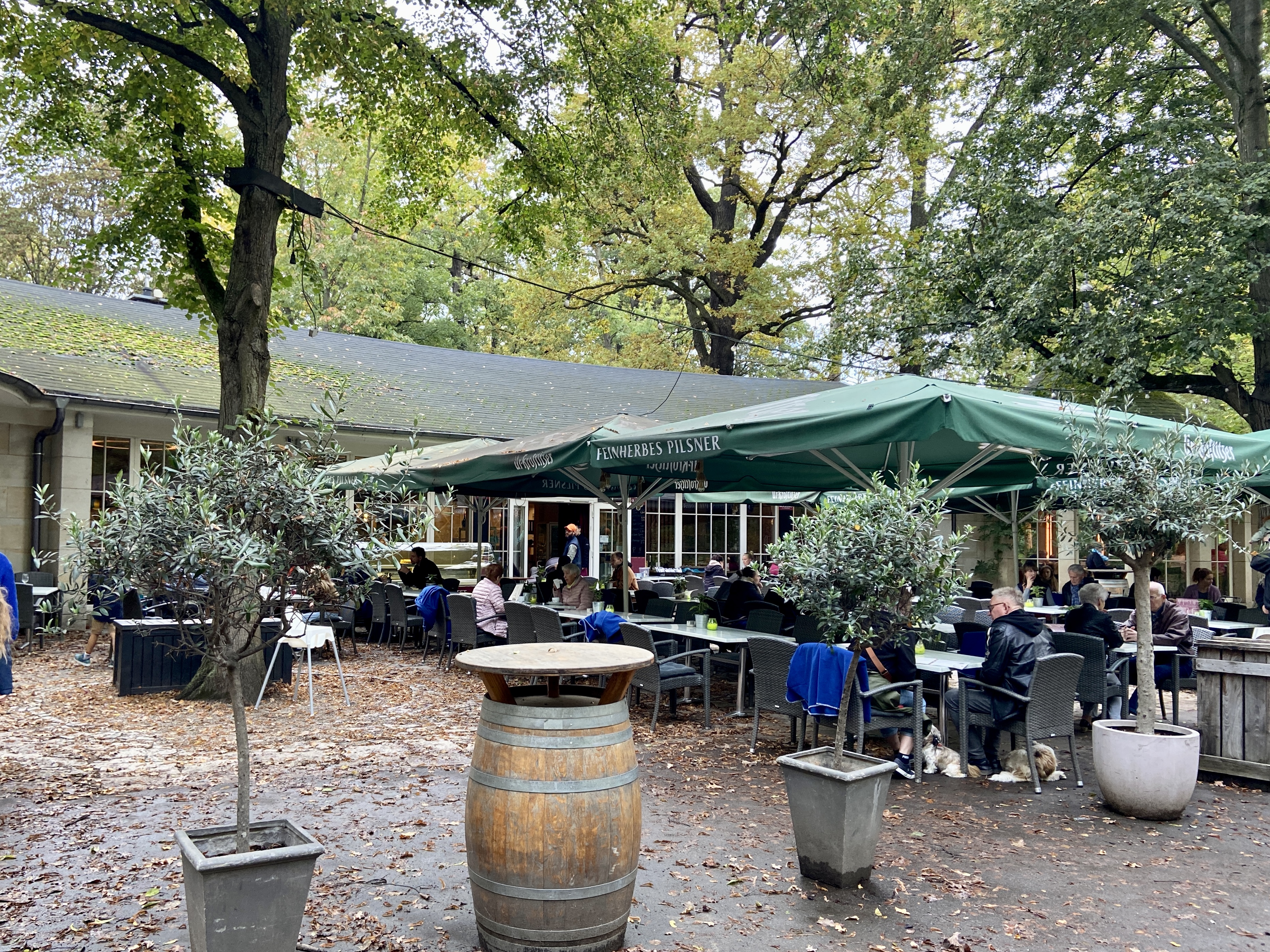 Glashaus im Clara Park – Motiv