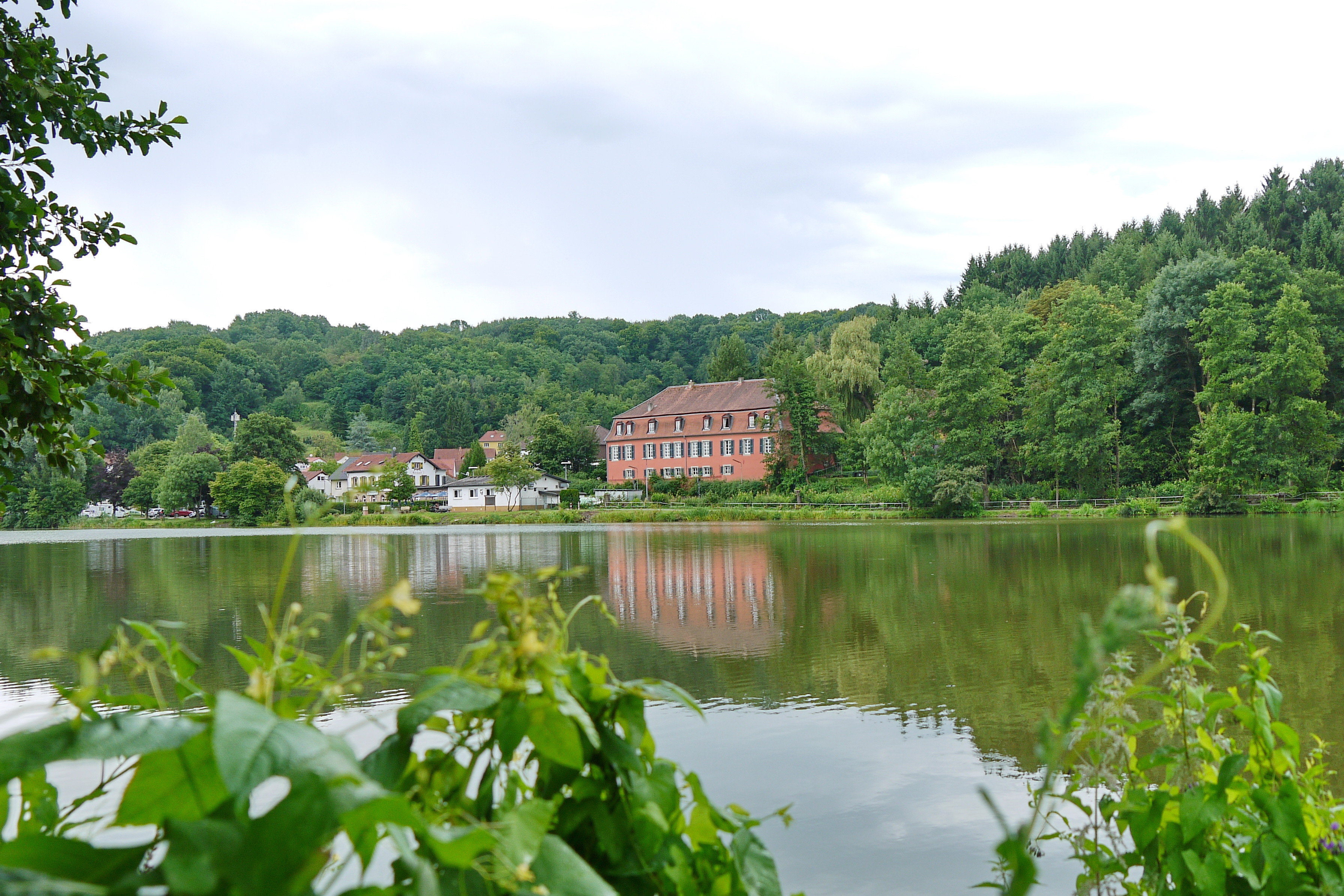 2017_Wuerzbacher_Weiher_Blick_auf_Roten_Bau_Foto_Wolfgang_Henn
