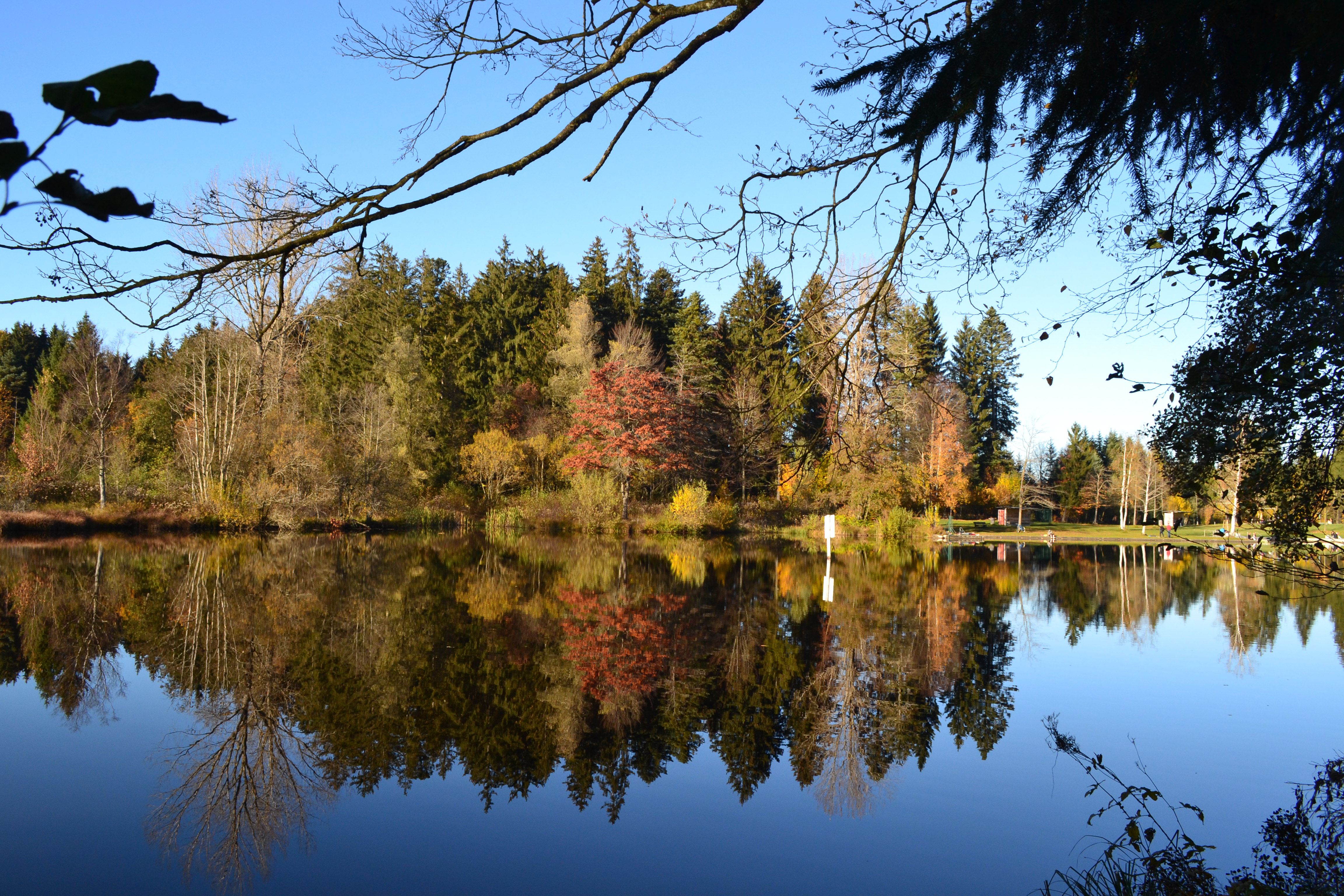 Rund um den Waldsee (Tour 6)