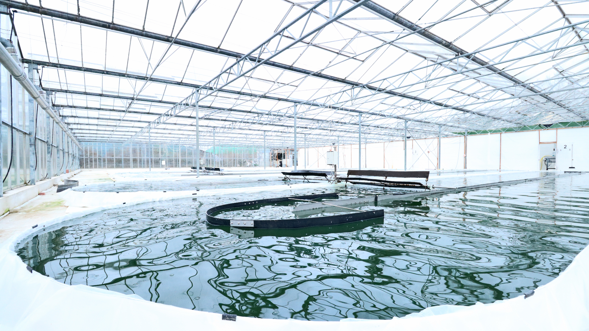 JoMaa Spirulina - Algenfarm
