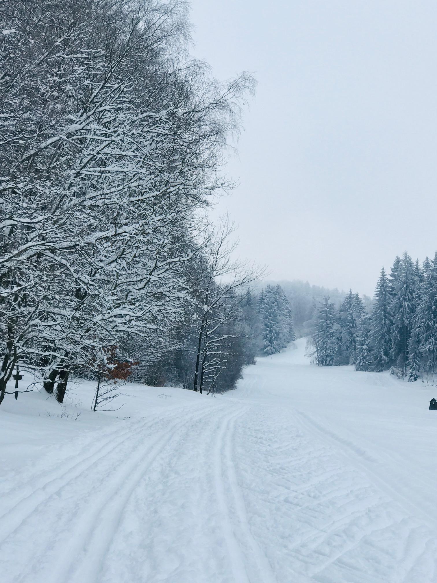 Winter im Zittauer Gebirge