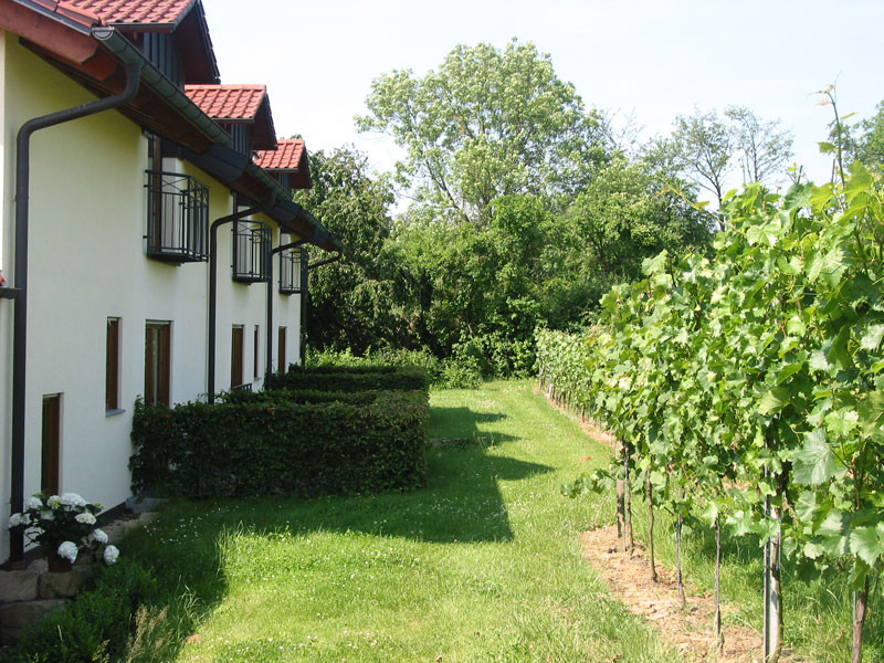 Gästehaus Kraft | Weinsüden Weinhotel in Lauffen am Neckar | HeilbronnerLand