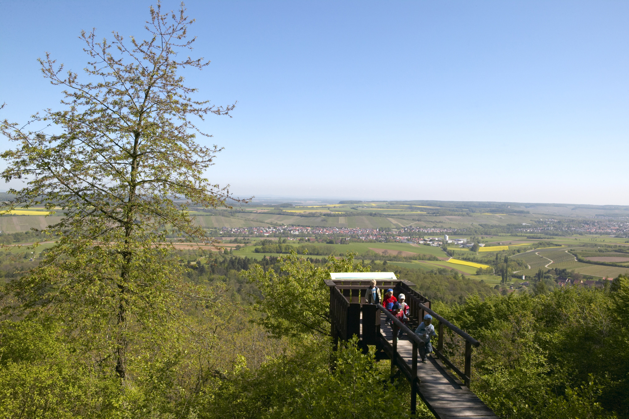 Aussichtsplattform Weißer Steinbruch | Pfaffenhofen | HeilbronnerLand