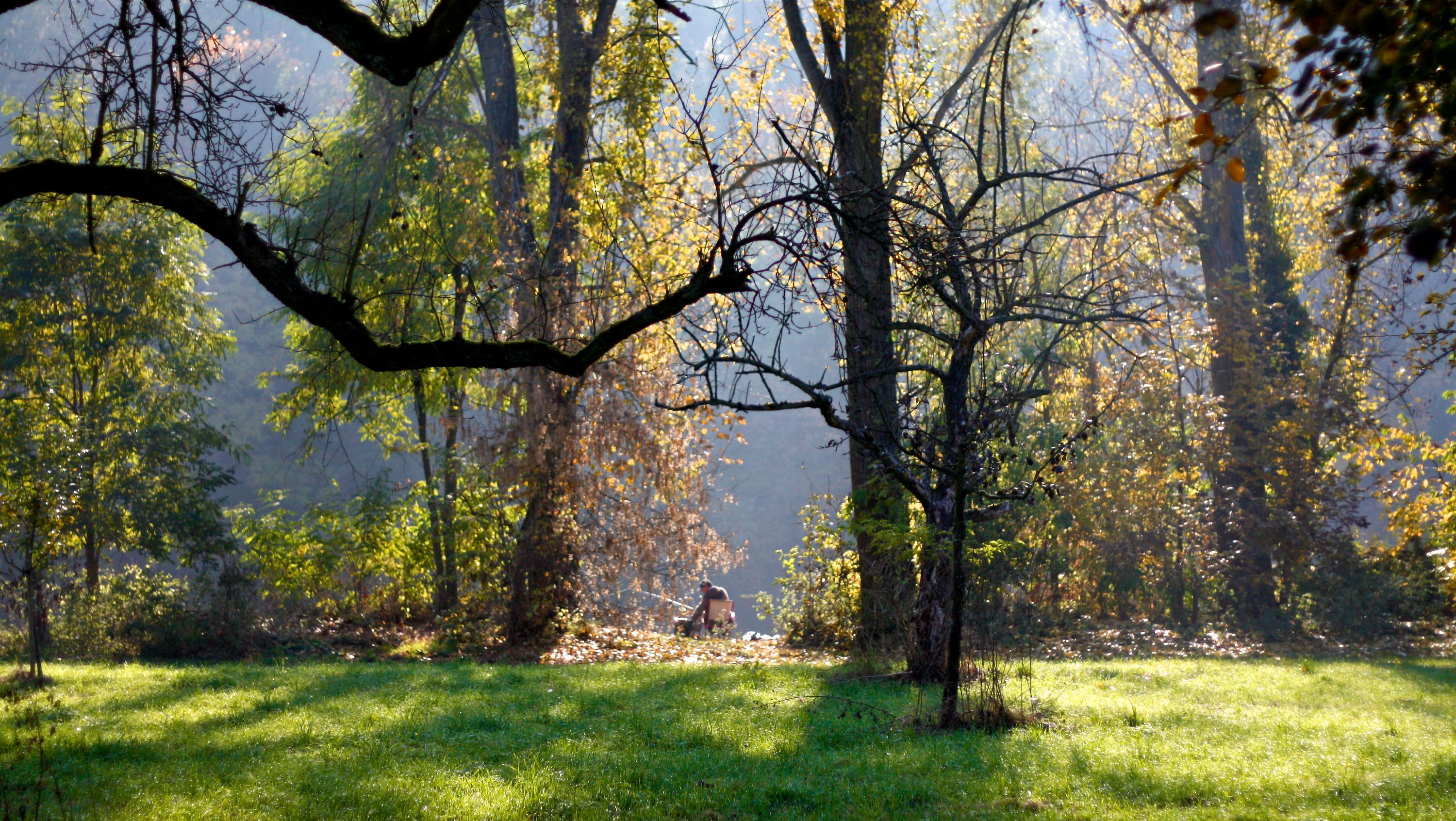 Kaywald im Naturschutzgebiet "Alte Neckarschlinge | Lauffen am Neckar | HeilbronnerLand