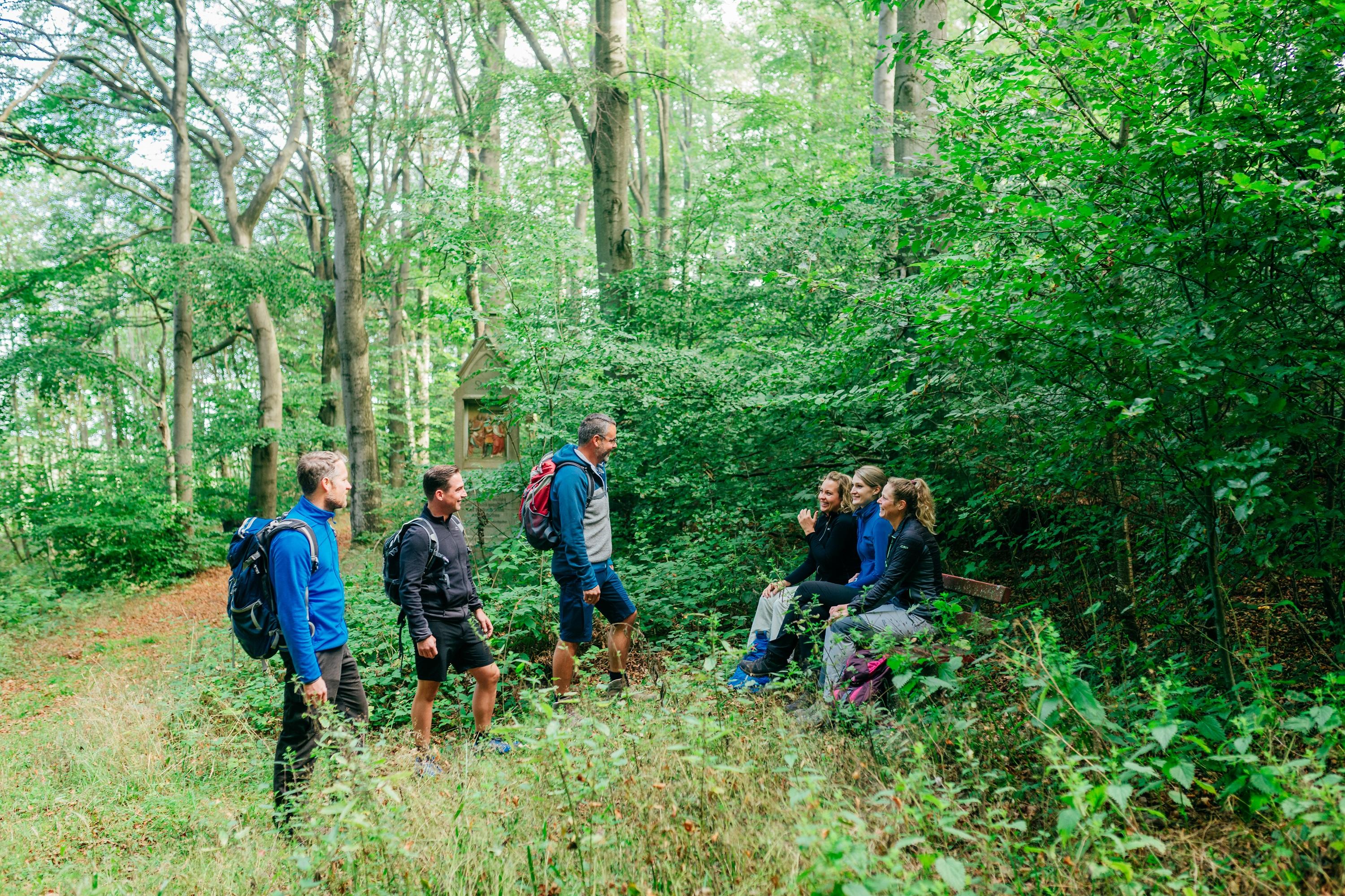 Geführte Wanderung
