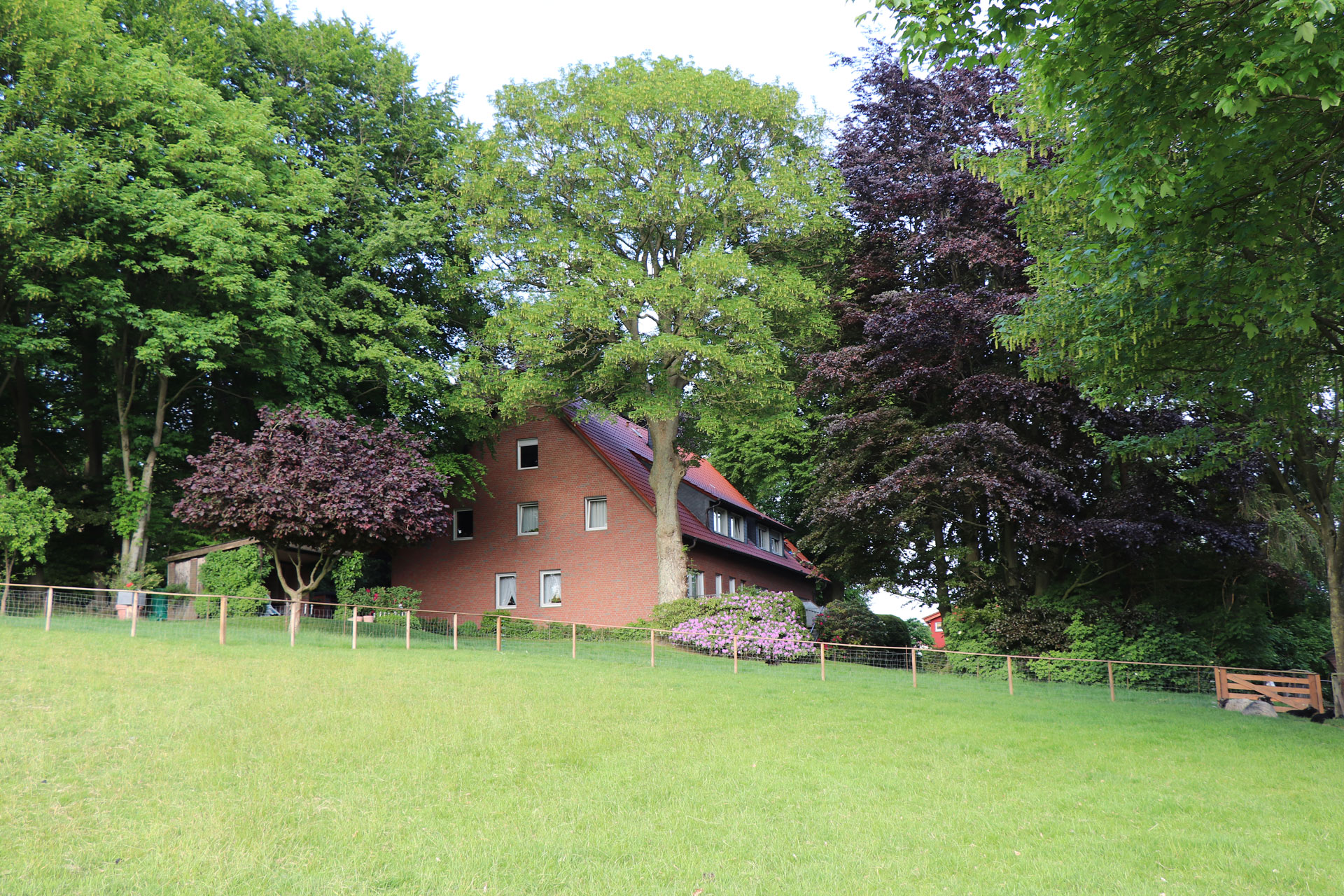 Haus_Otte_Aussenansicht.jpg