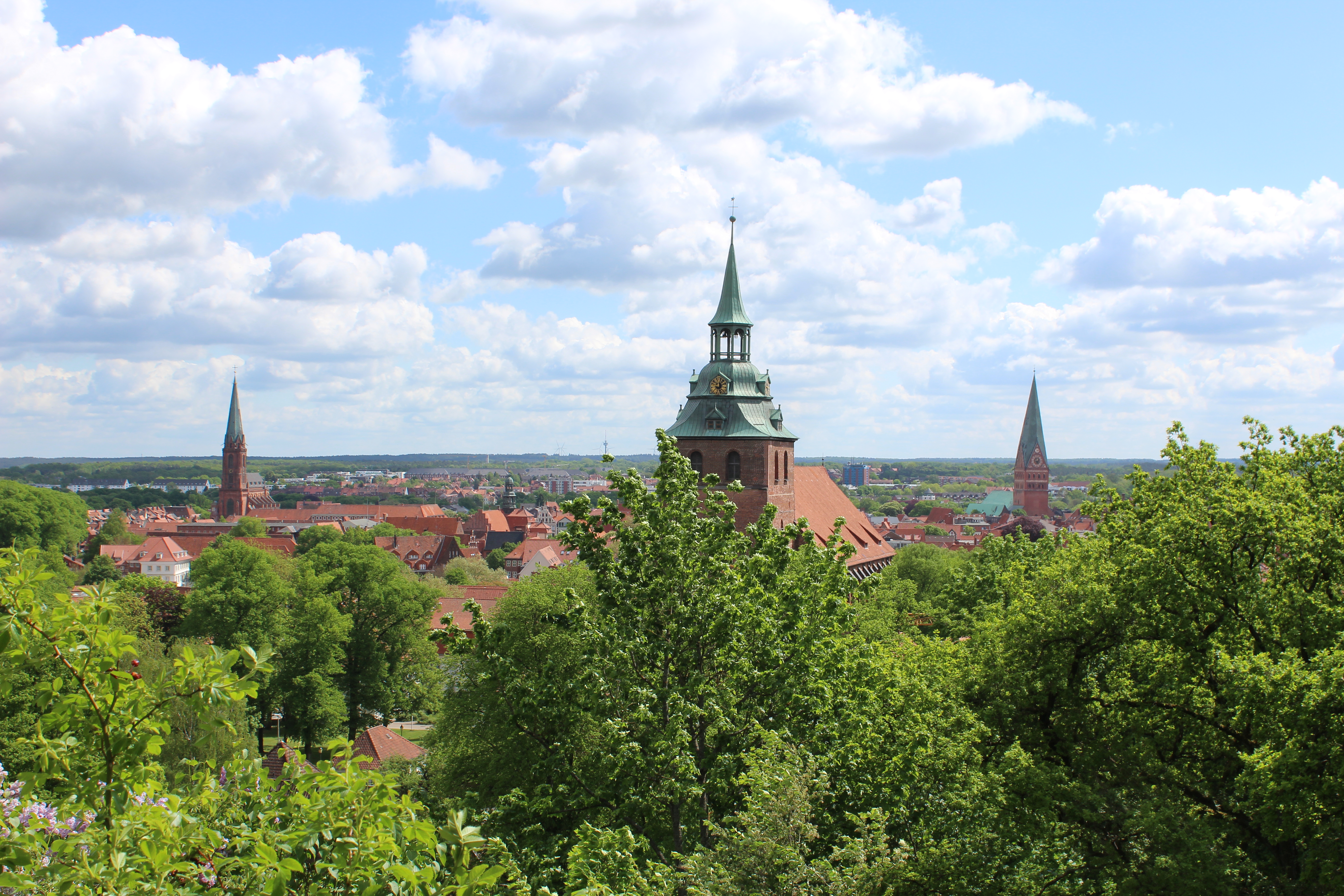 Lüneburger Kalkberg