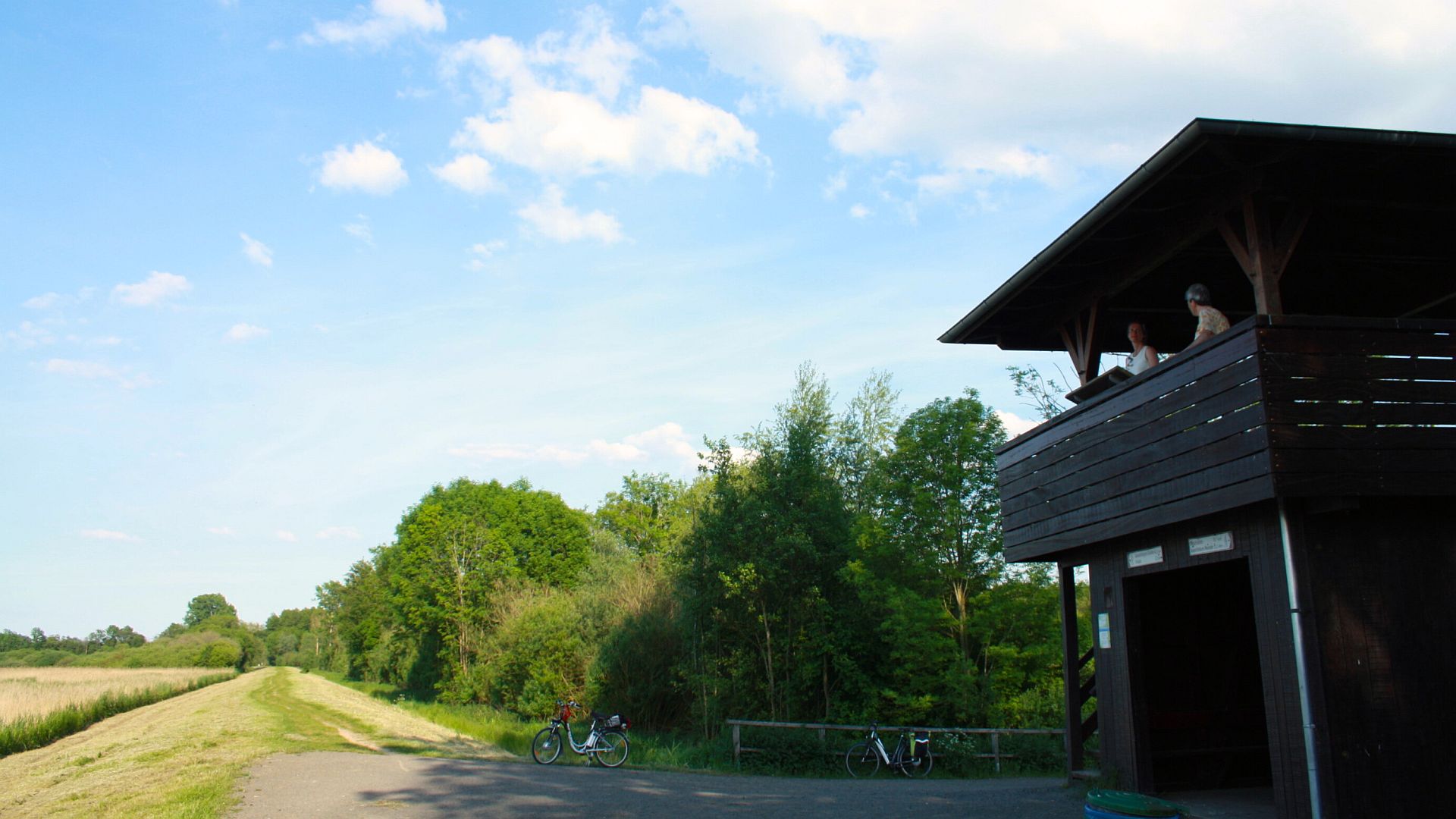Aussichtsturm Dümmer Südufer