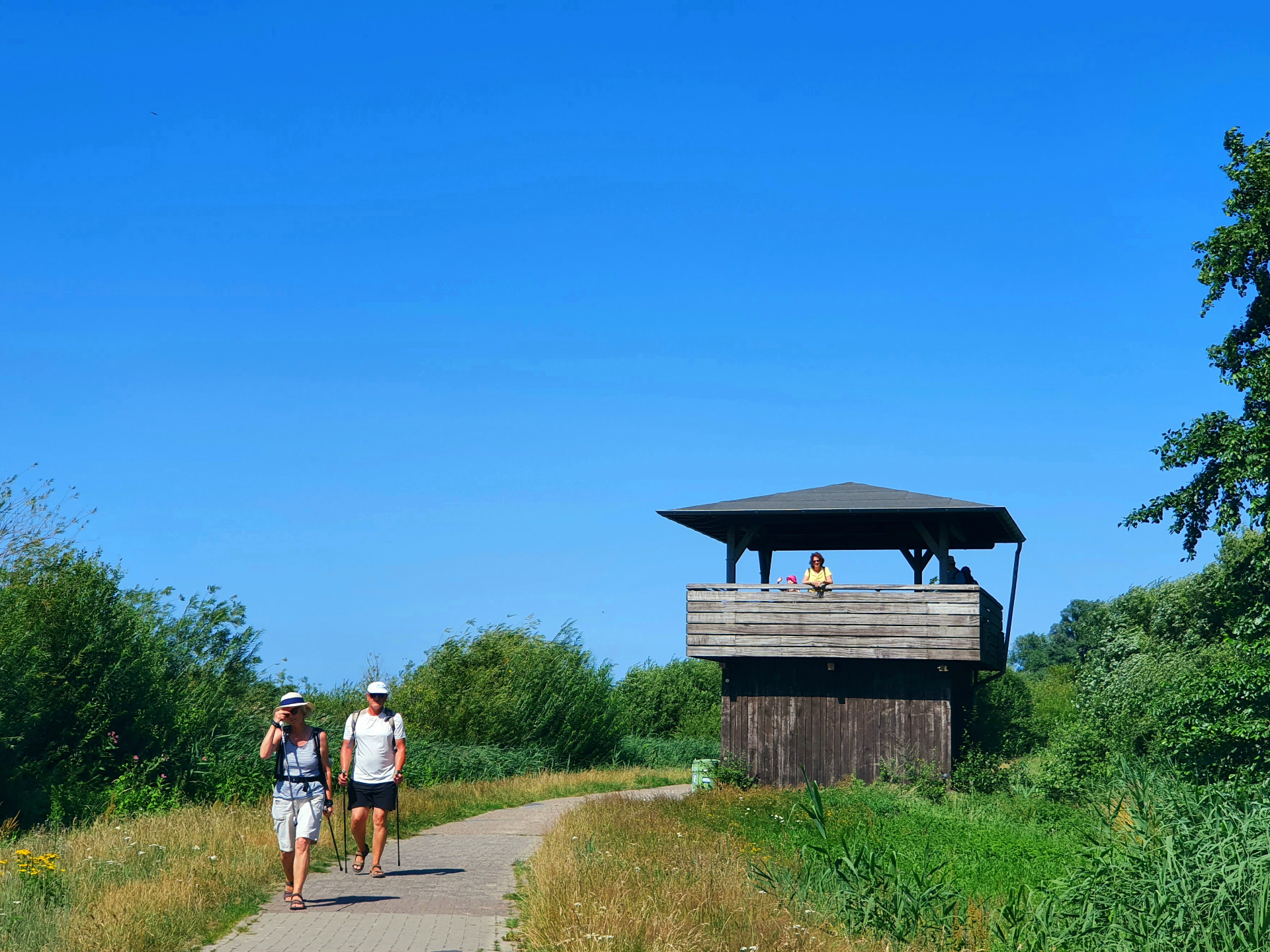 Aussichtsturm Dümmer Ostufer
