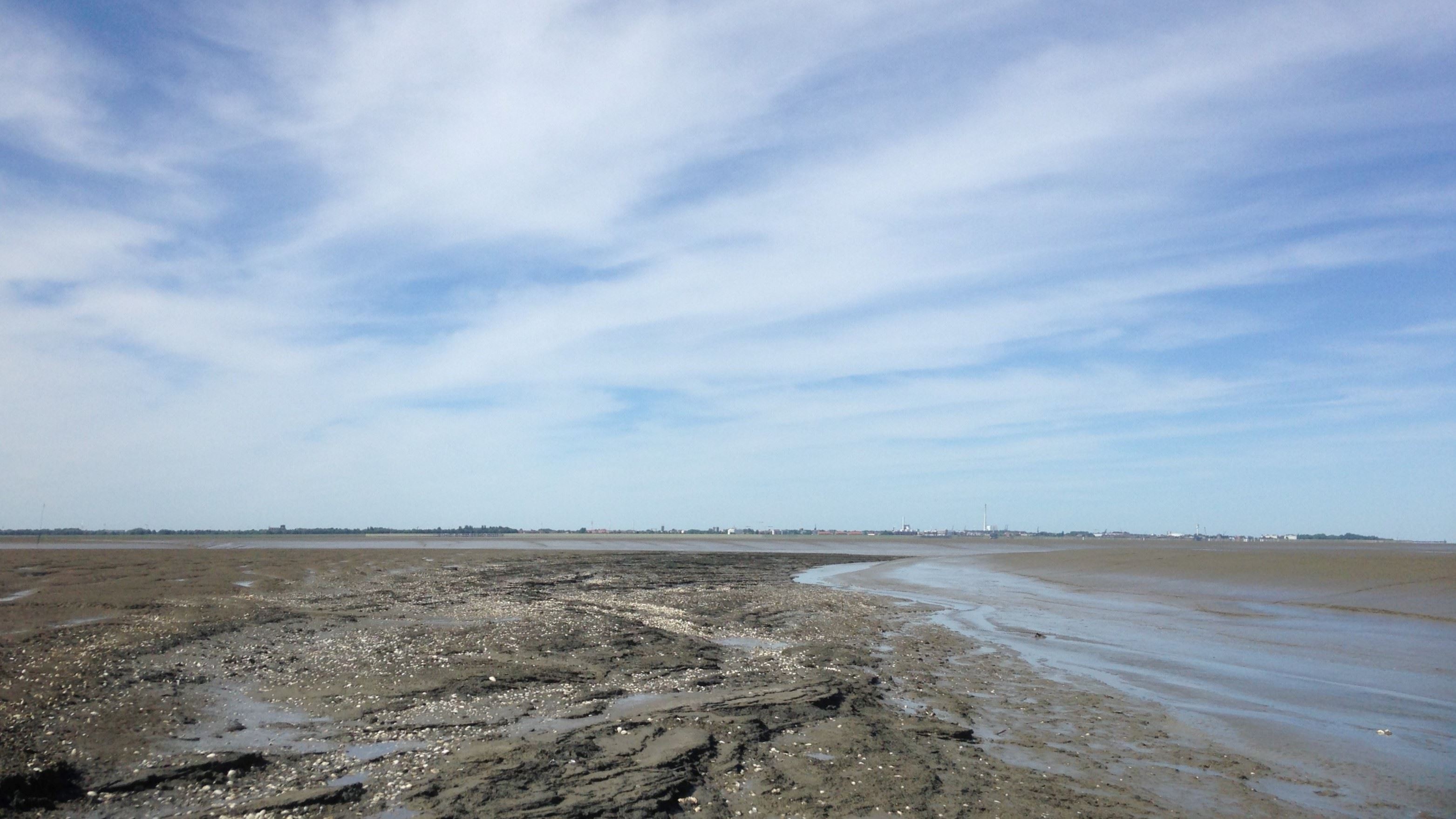 Wattwanderung vor Dangast.