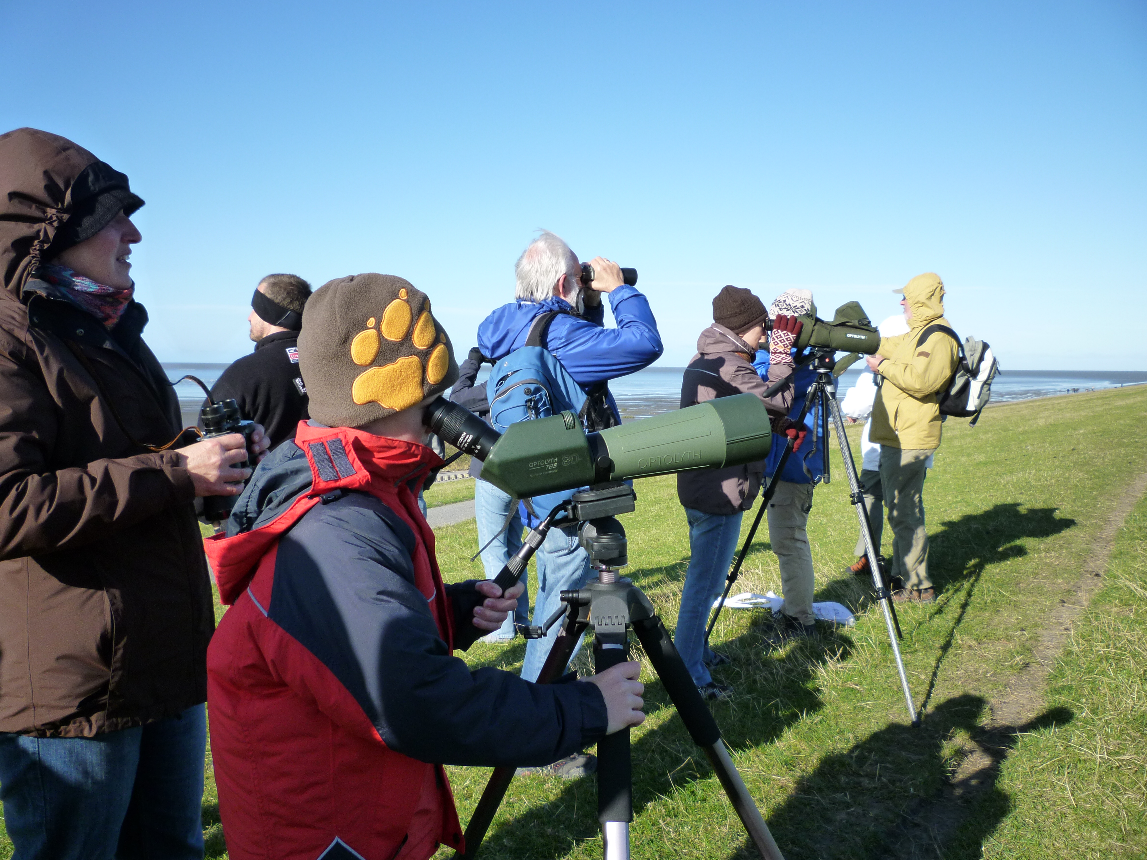 Vogelbeobachtung am Wattenmeer bei Pilsum in Krummhörn mit Spektiven und Ferngläsern.