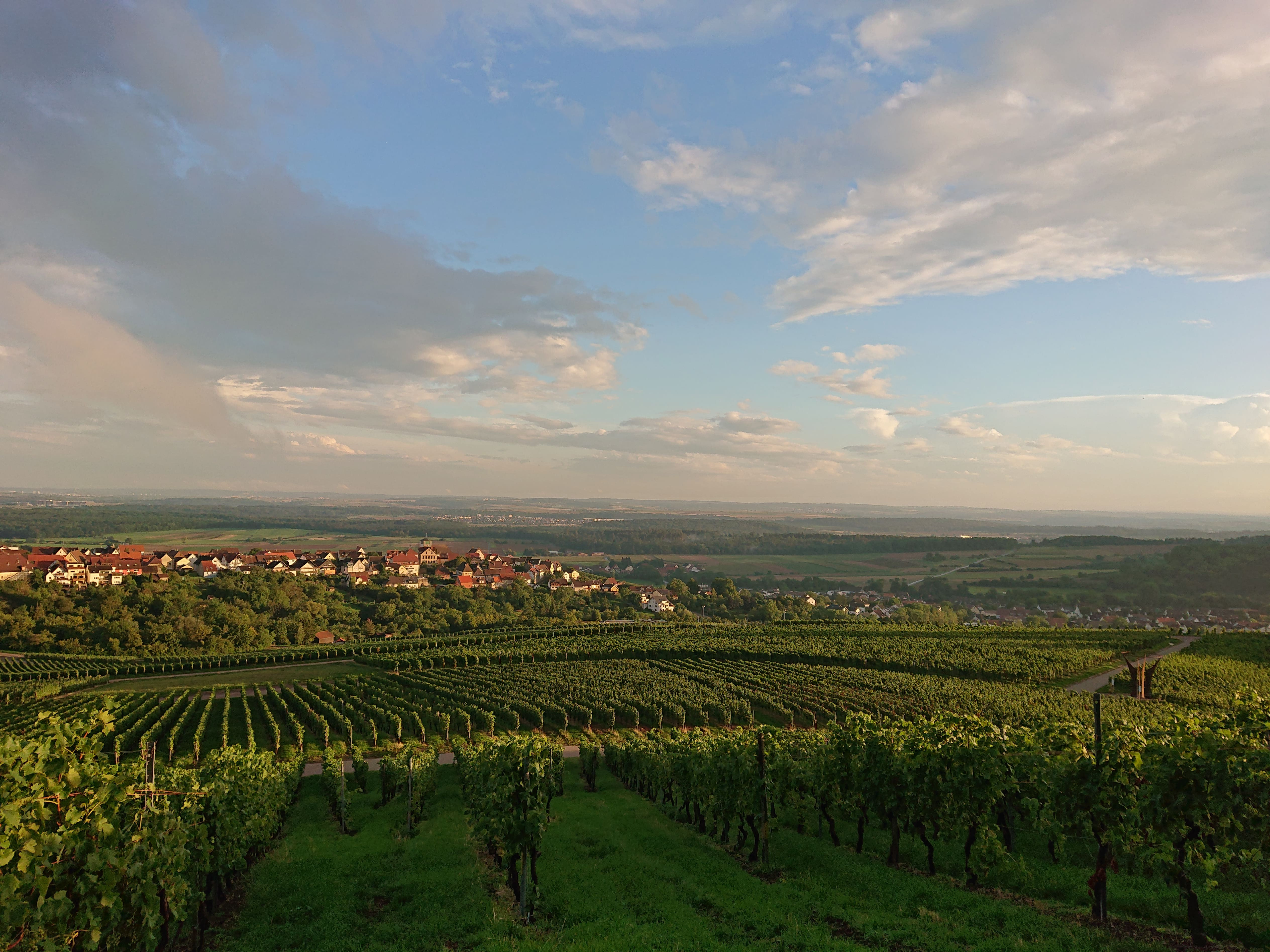 Blick auf Hohenhaslach Wein Erlebnis Abend