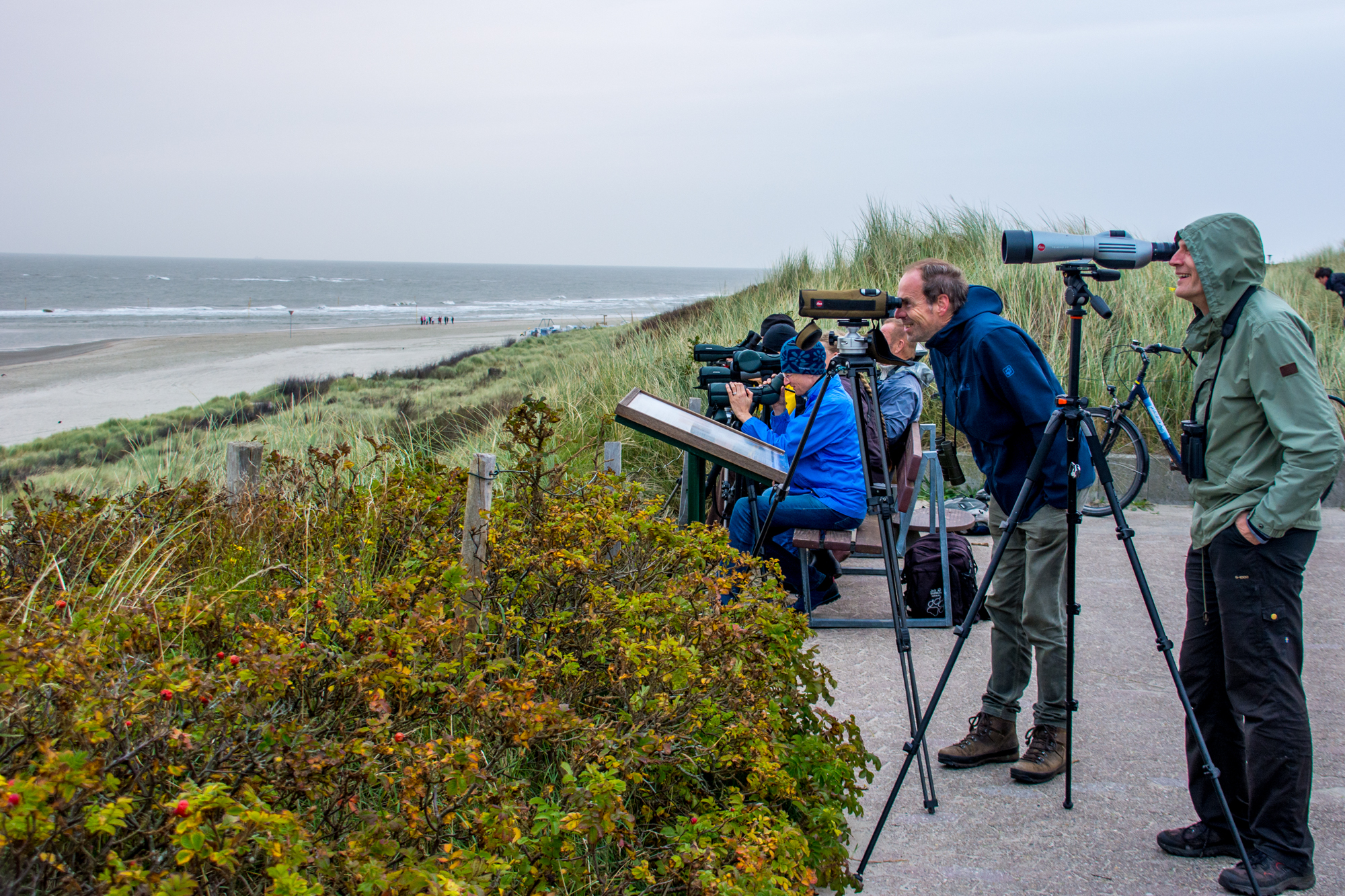 Seawatching.jpg
