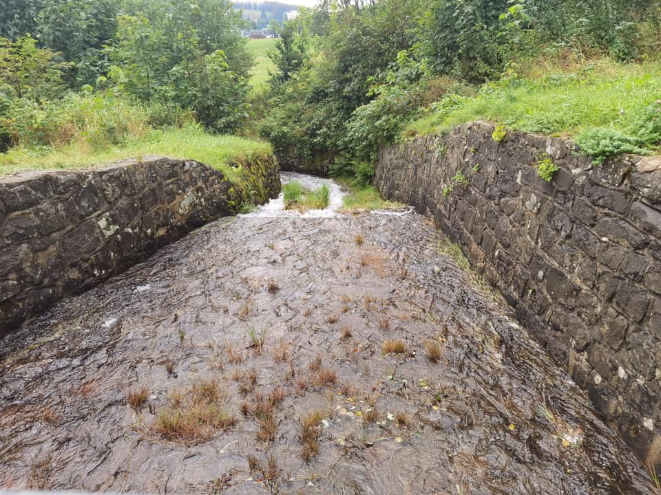 Unter der Teichlandschaft von Buntenbock