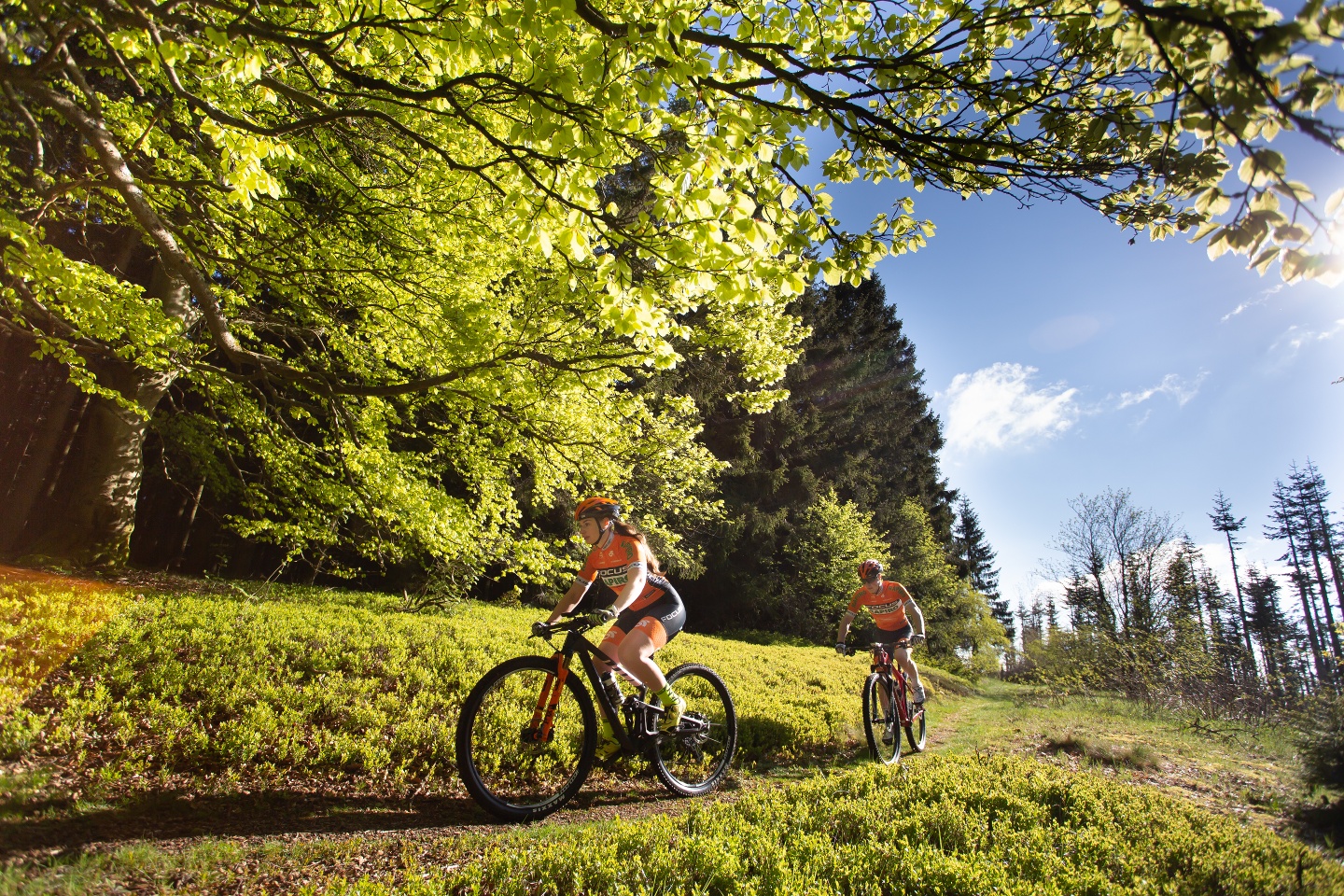stereo hybrid 140 hpc 2021 Certified Cube Actionteam e-bike Wähle deine Farbe:Frost White 3pl Carver Strict 120 W