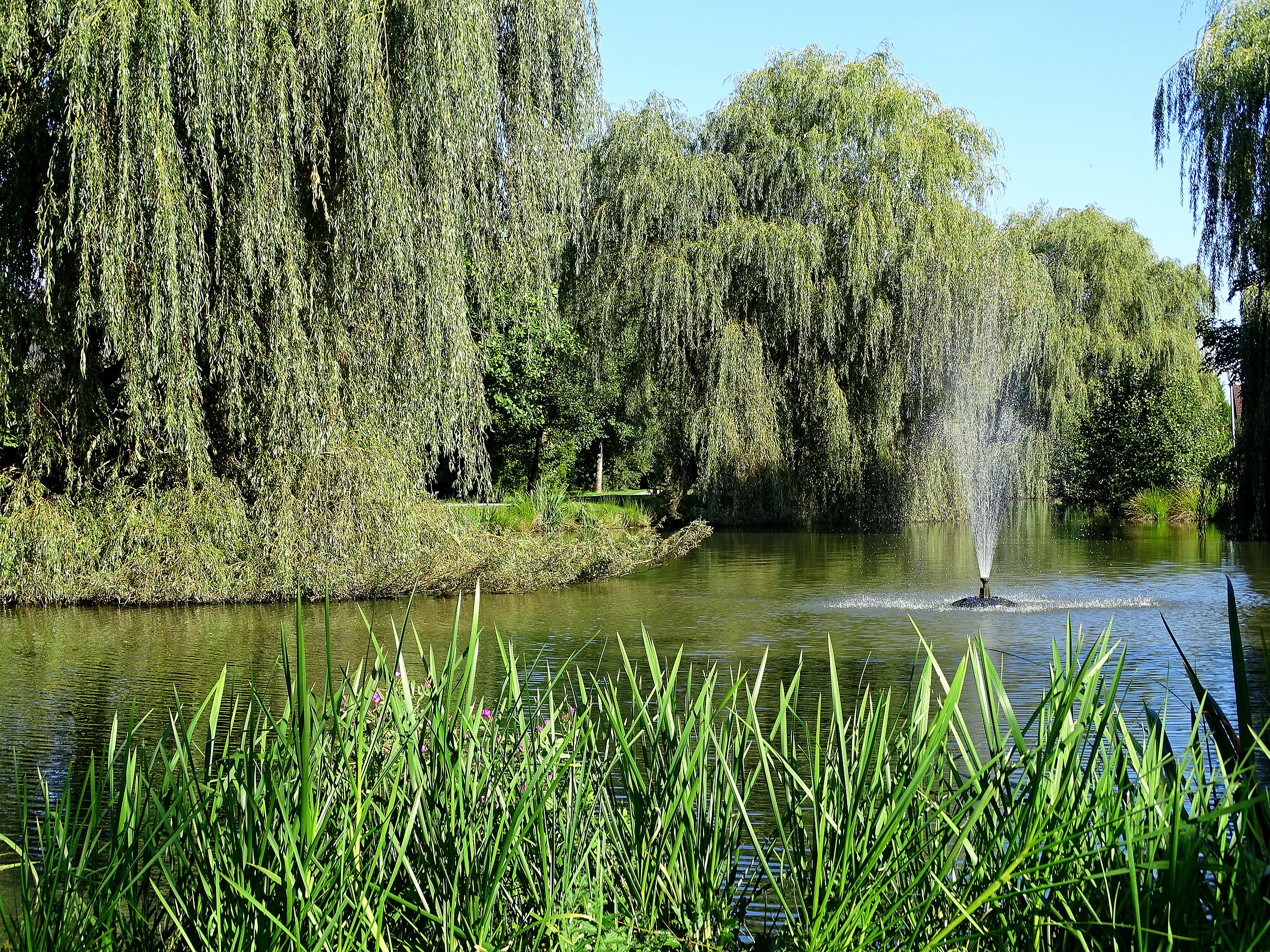 Bürgerpark Oldenbrok