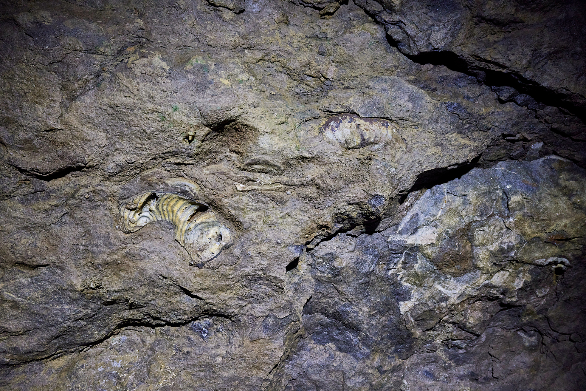 Kluterthöhle, Ennepetal