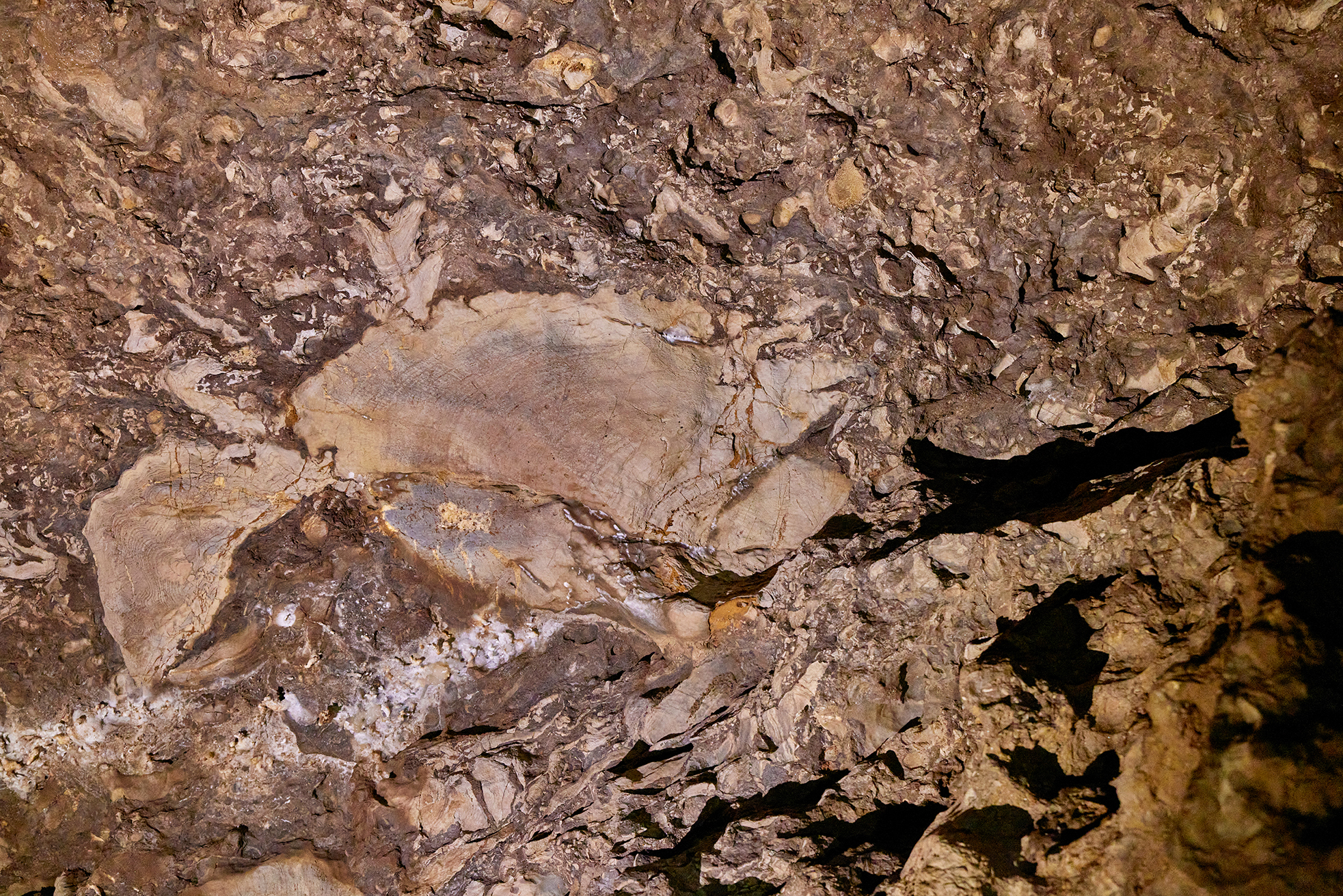Kluterthöhle, Ennepetal<br><br>