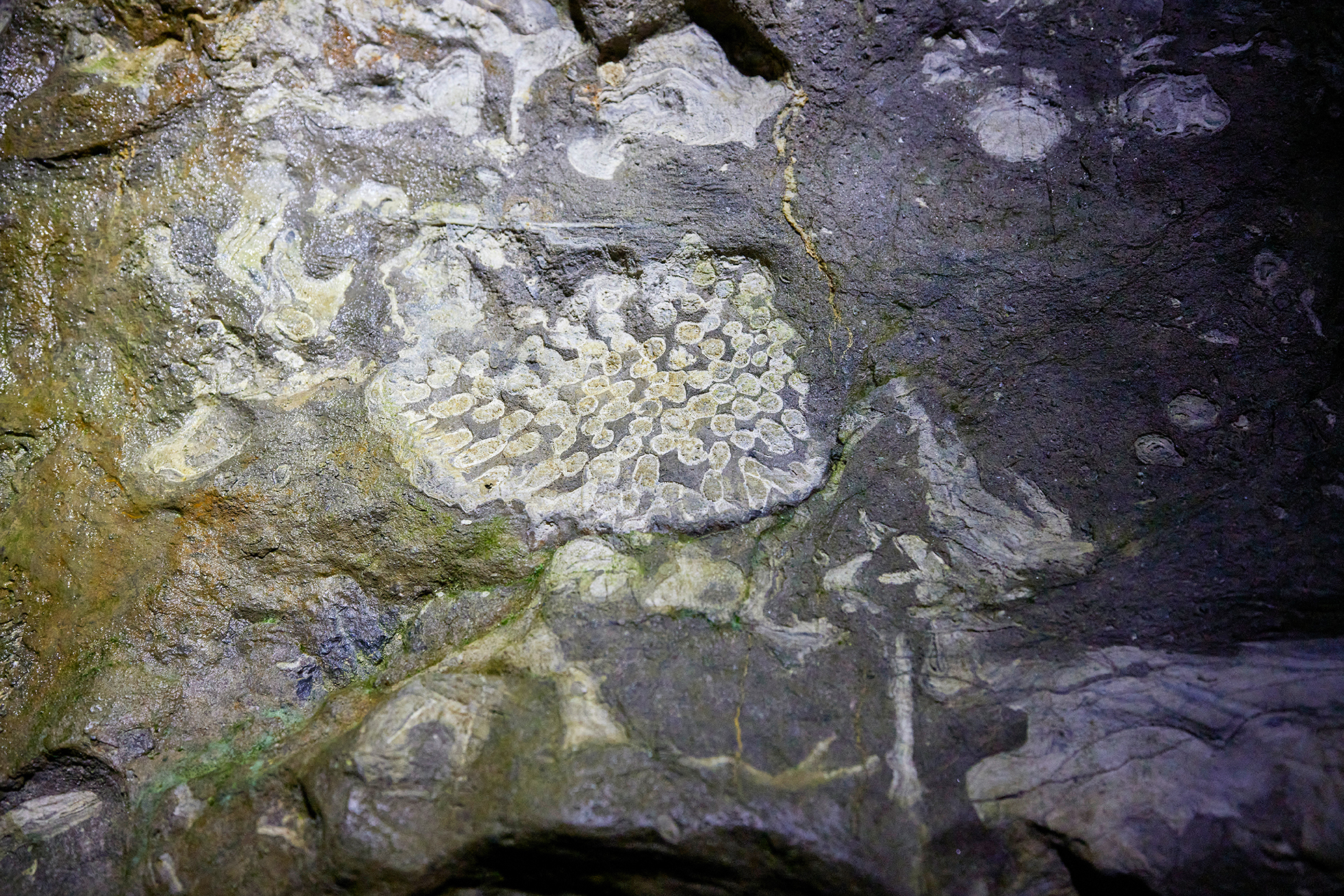 Kluterthöhle, Ennepetal<br><br>