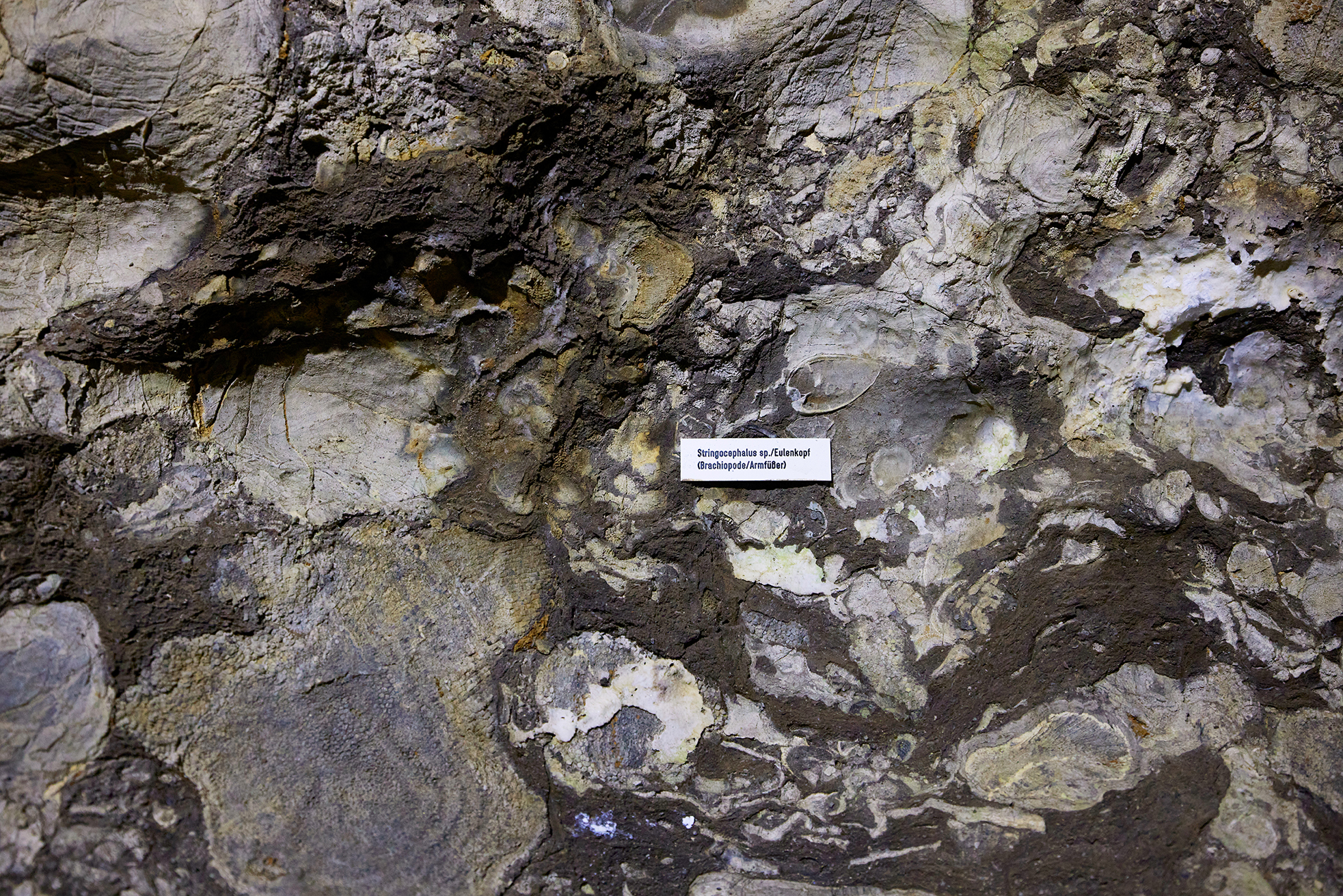 Kluterthöhle, Ennepetal<br><br>