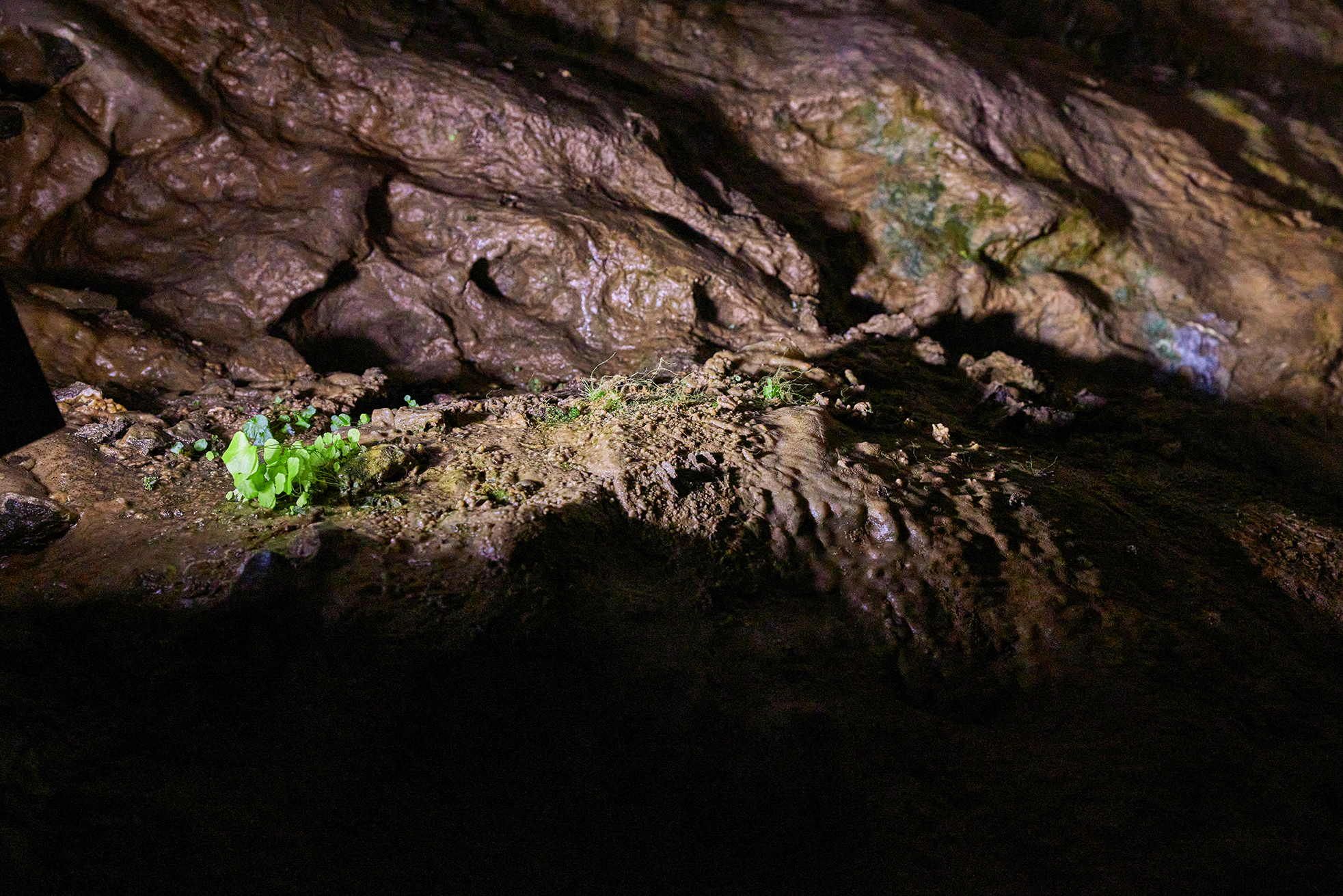 Kluterthöhle, Ennepetal