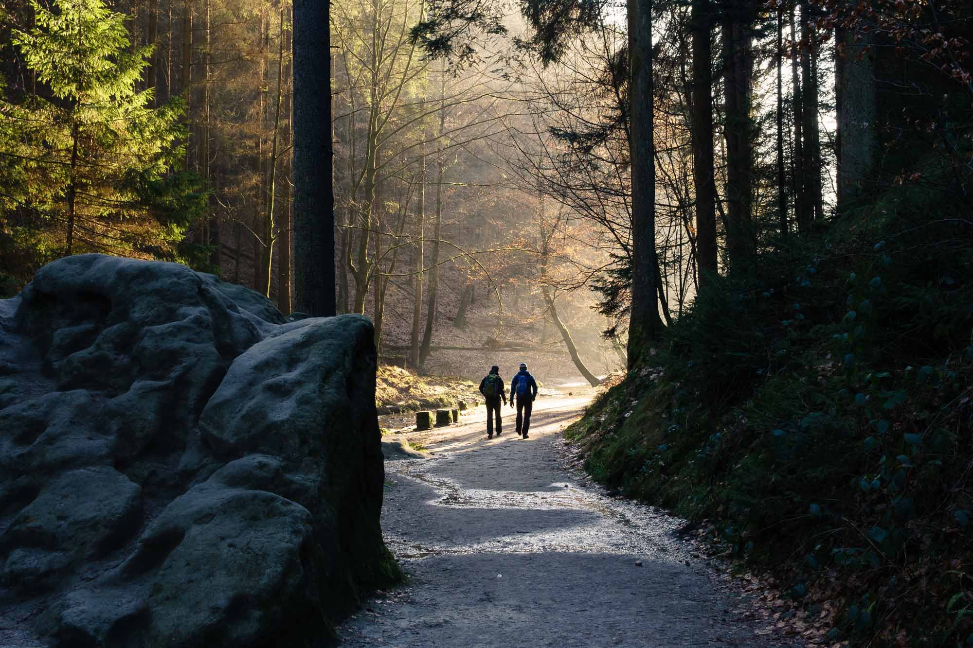 Amselgrund – Motiv