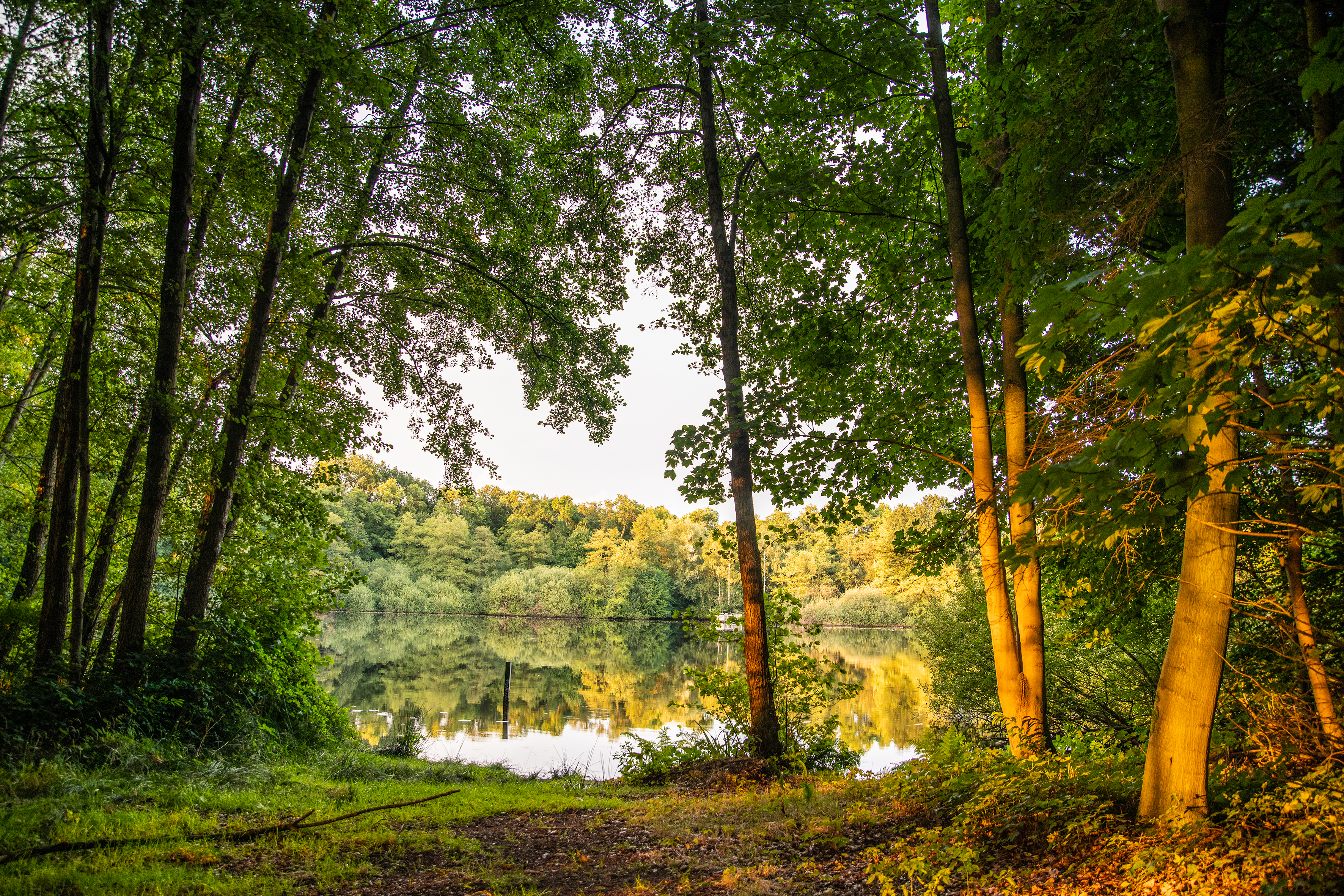 Naturschutzgebiet Lechtegoor