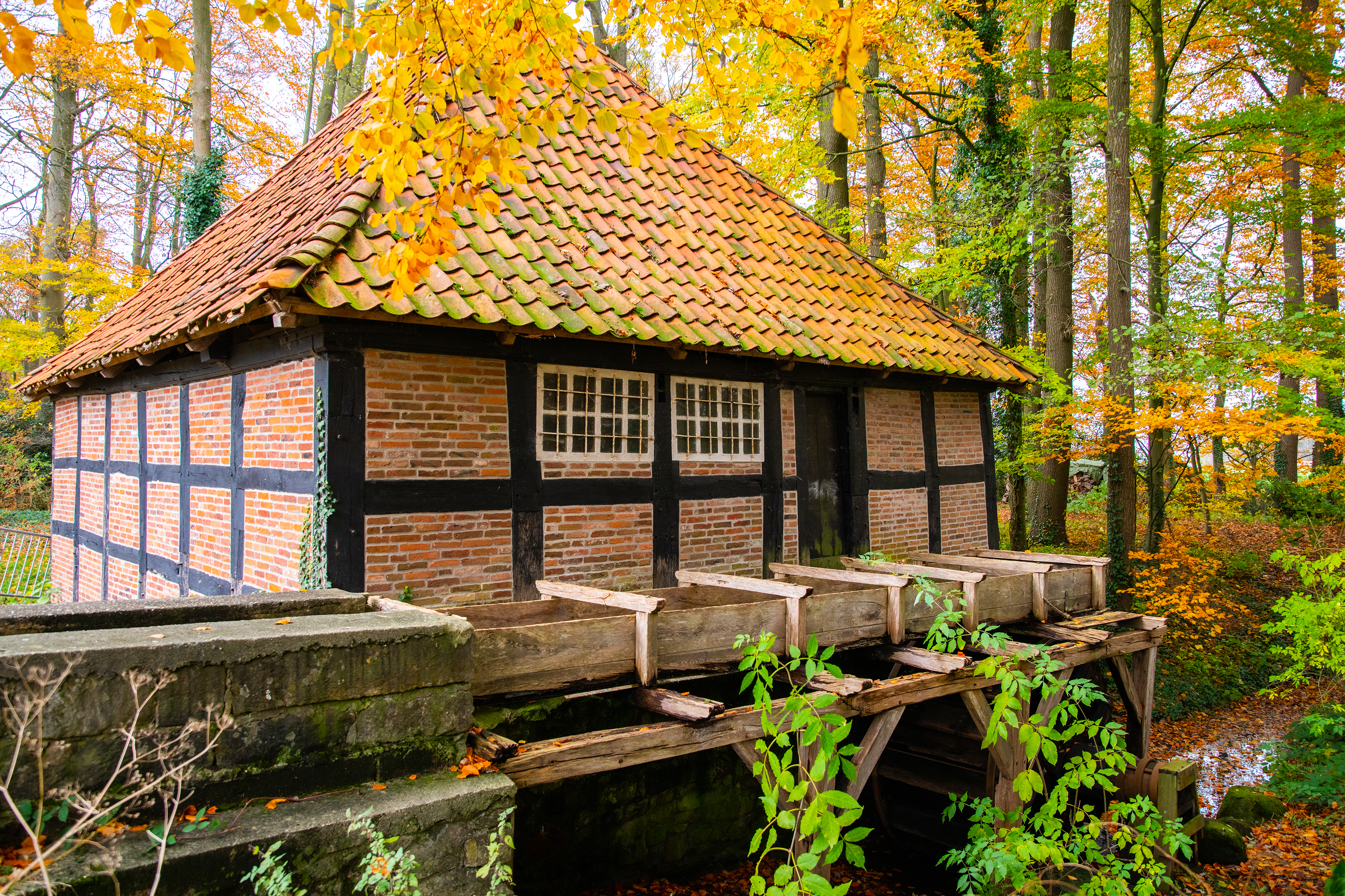Ramings Mühle