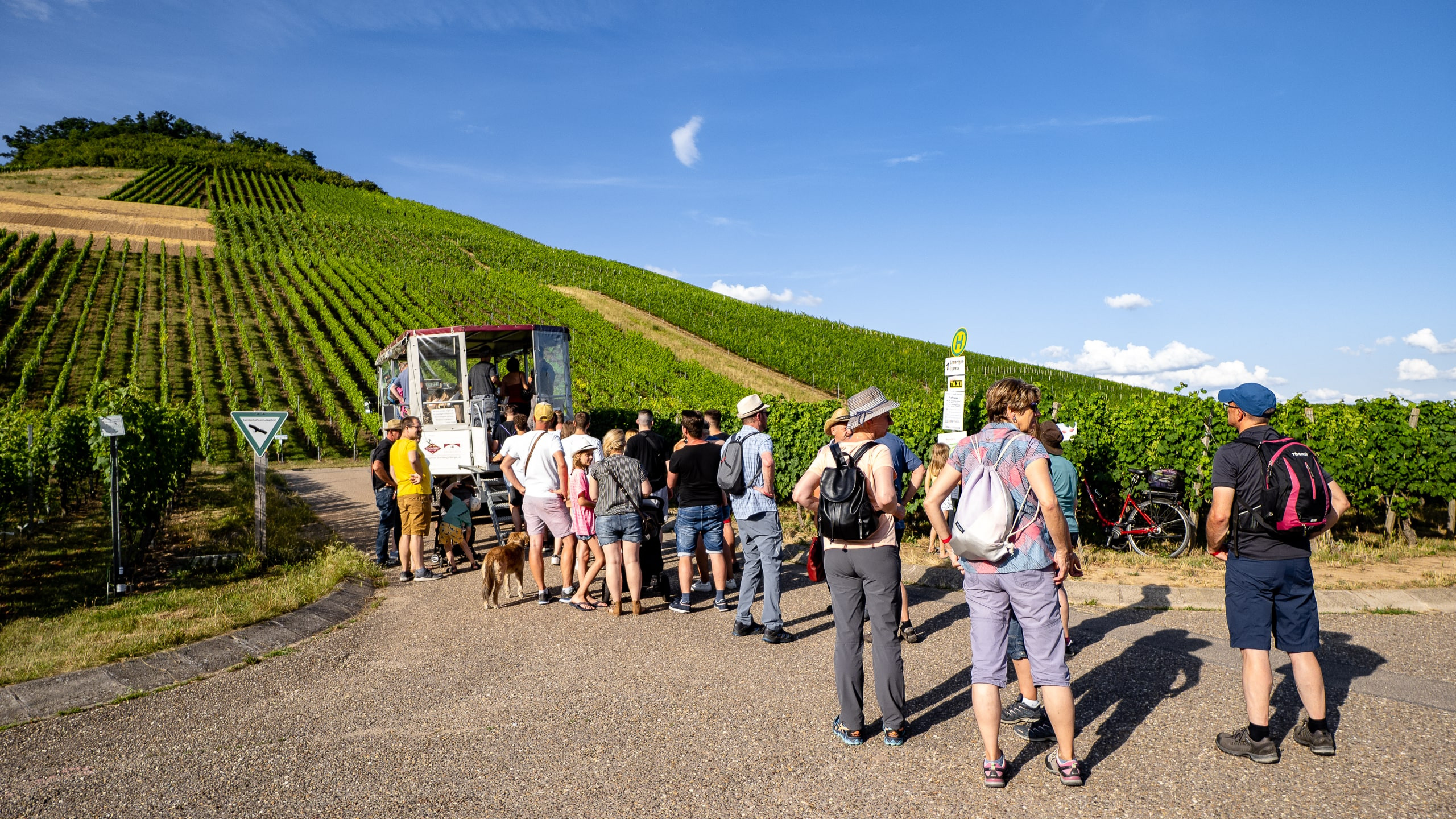 Brackenheim Natur & Wein